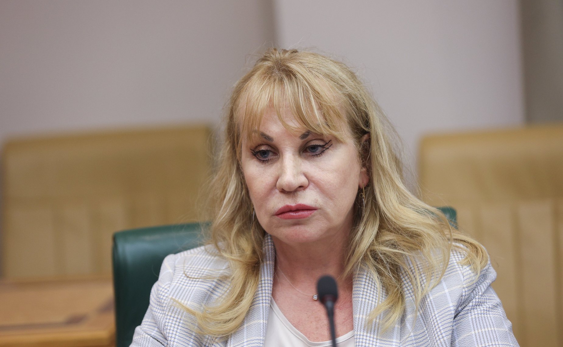 Круглый стол на тему «Актуальные вопросы обеспечения последовательной и обоснованной гуманизации уголовного законодательства Российской Федерации»