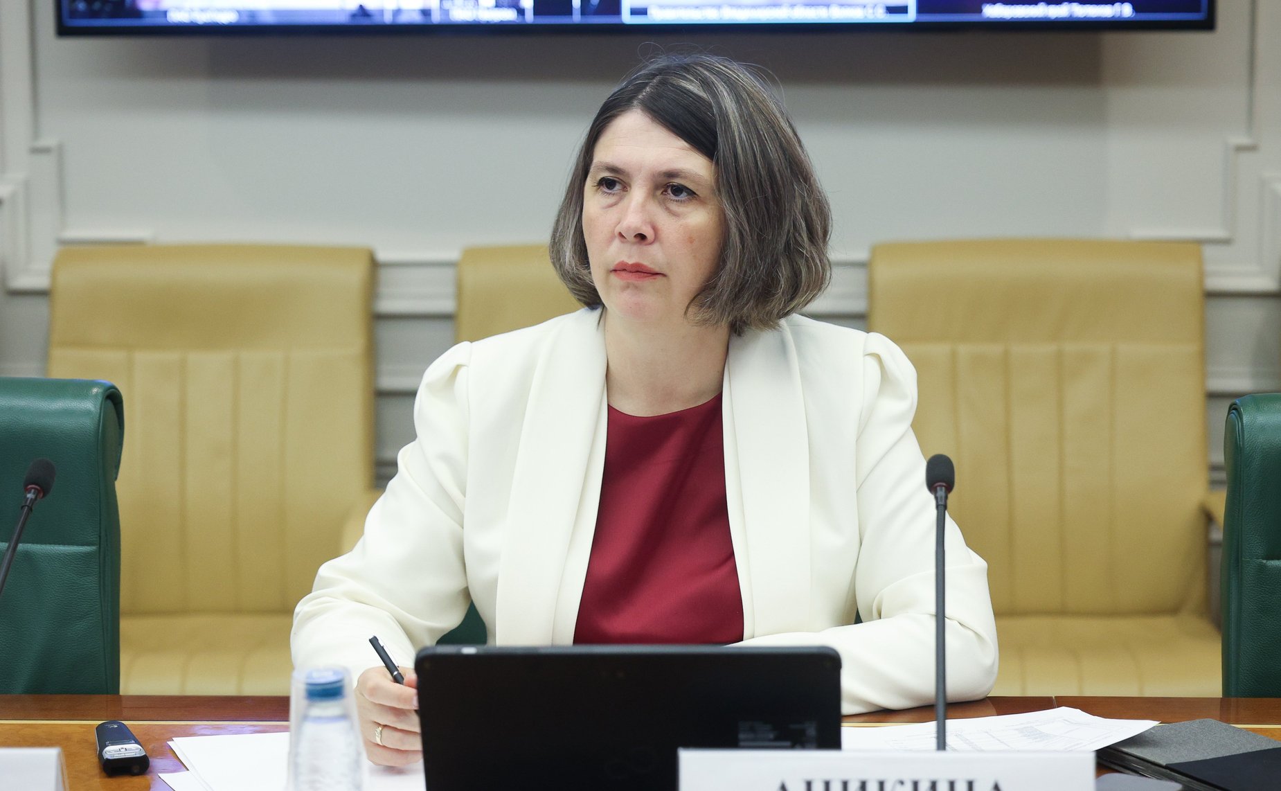 Заседание Совета по вопросам газификации субъектов Российской Федерации при Совете Федерации Федерального Собрания Российской Федерации