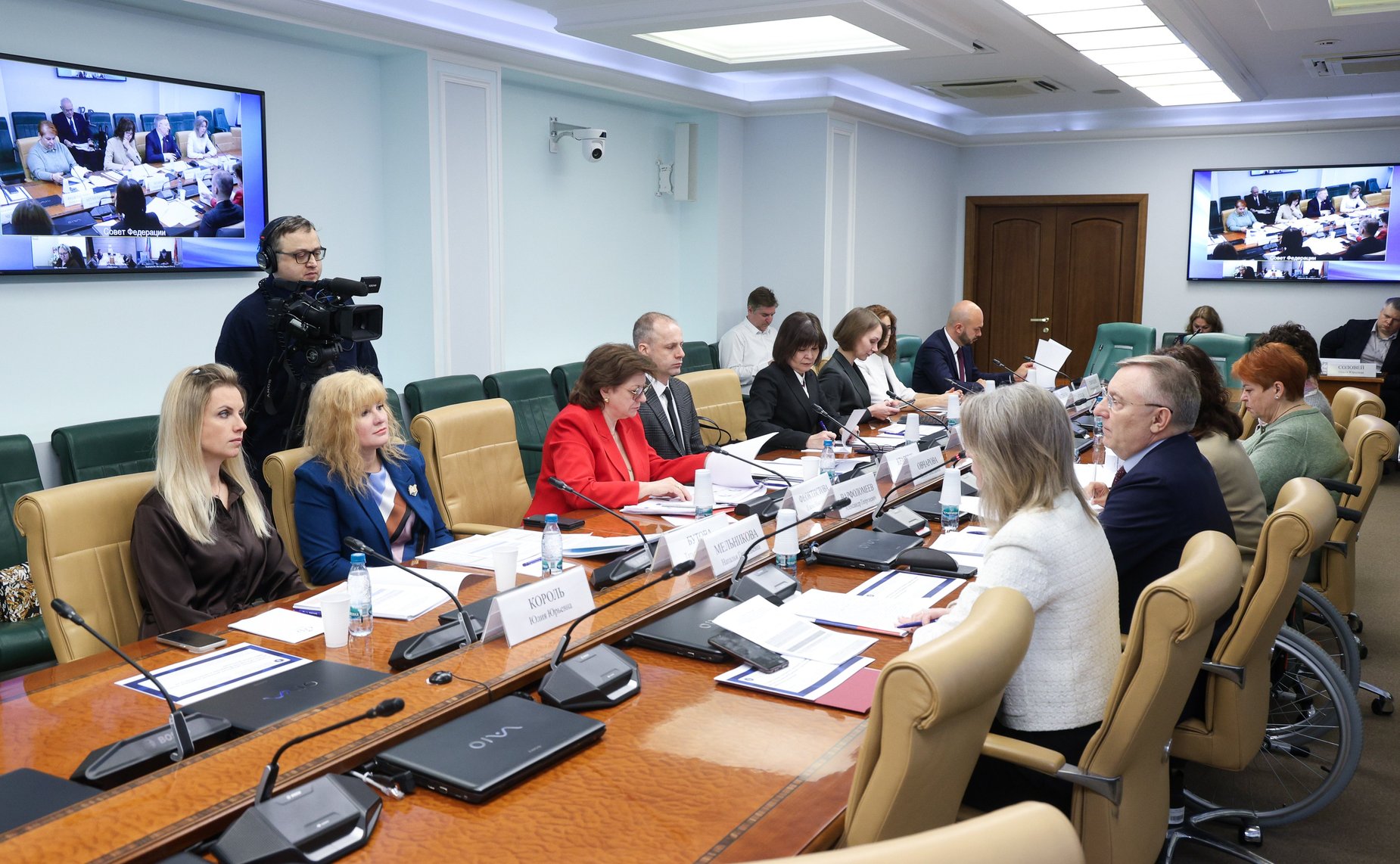 Заседание Экспертного совета по социальному развитию при Комитете Совета Федерации по социальной политике