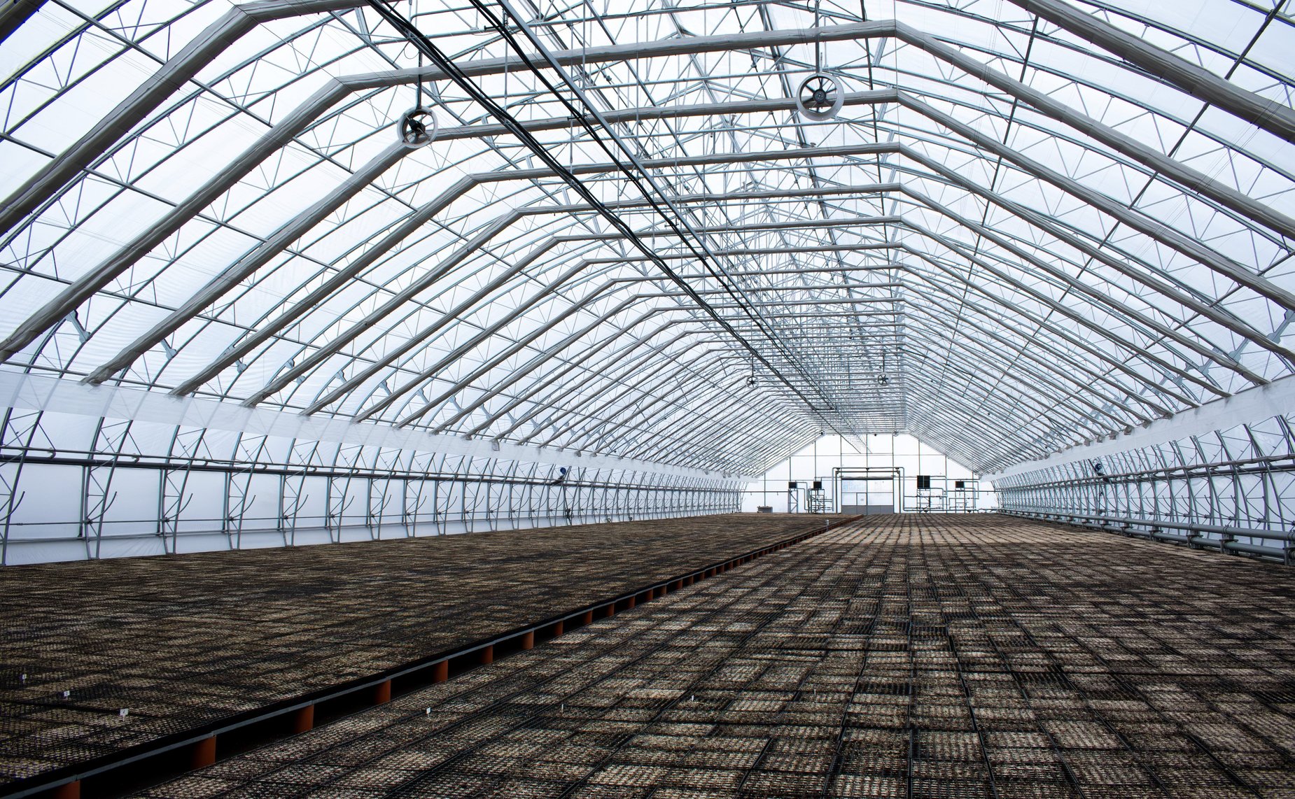 Юрий Борисов и Иван Новиков посетили предприятия лесоперерабатывающего комплекса Архангельской области