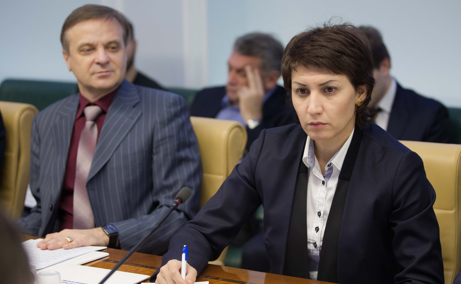 Заседание Экспертного совета по физкультуре и спорту при Комитете СФ по социальной политике