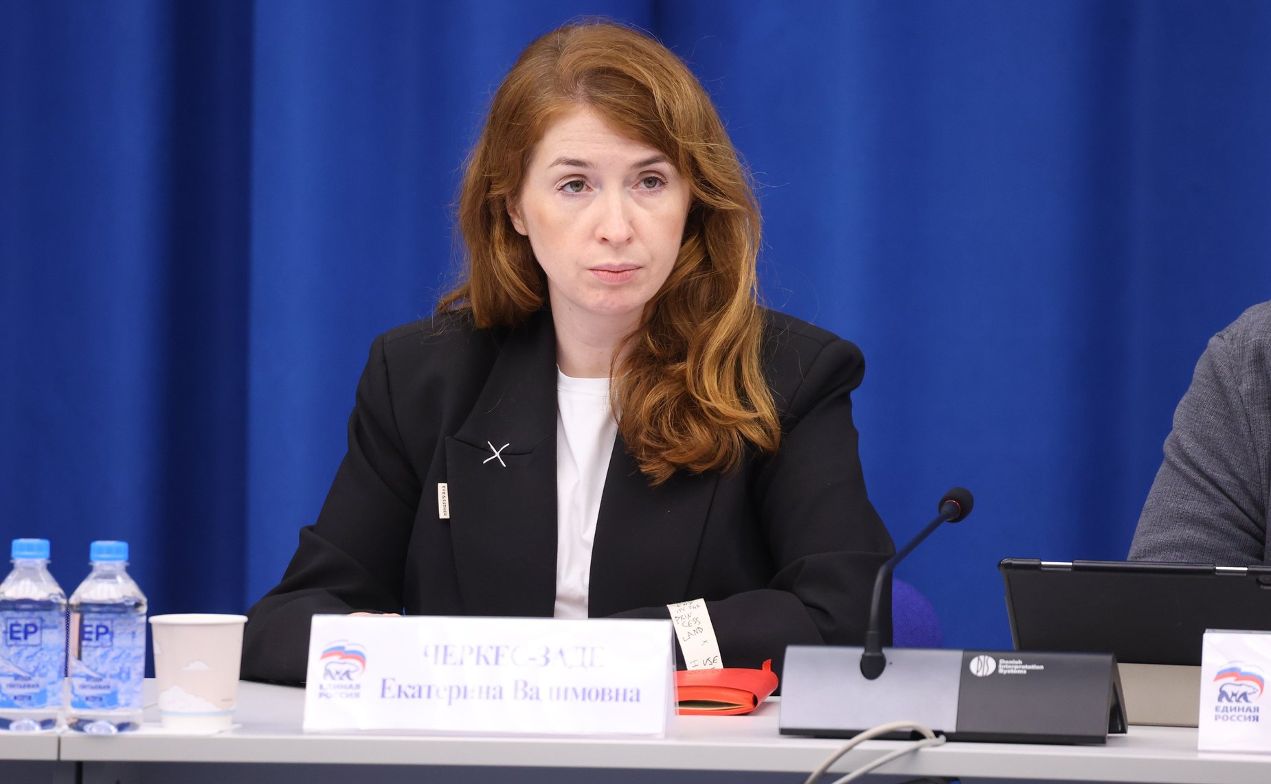 Заседание Комиссии Совета Федерации по развитию креативных (творческих) индустрий и народных художественных промыслов в РФ