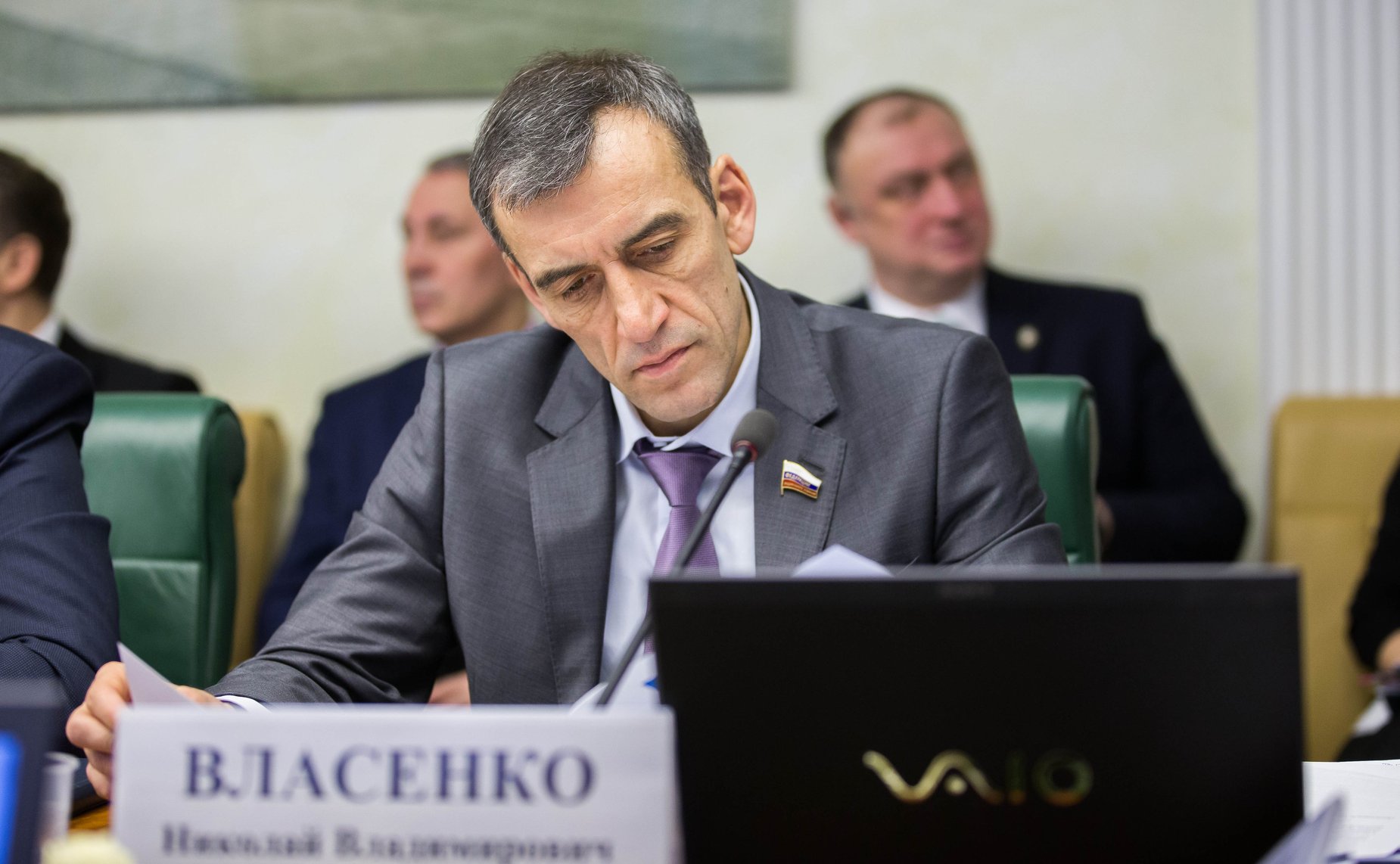 Н. Власенко на расширенном заседании Комитета Совета Федерации по экономической политике