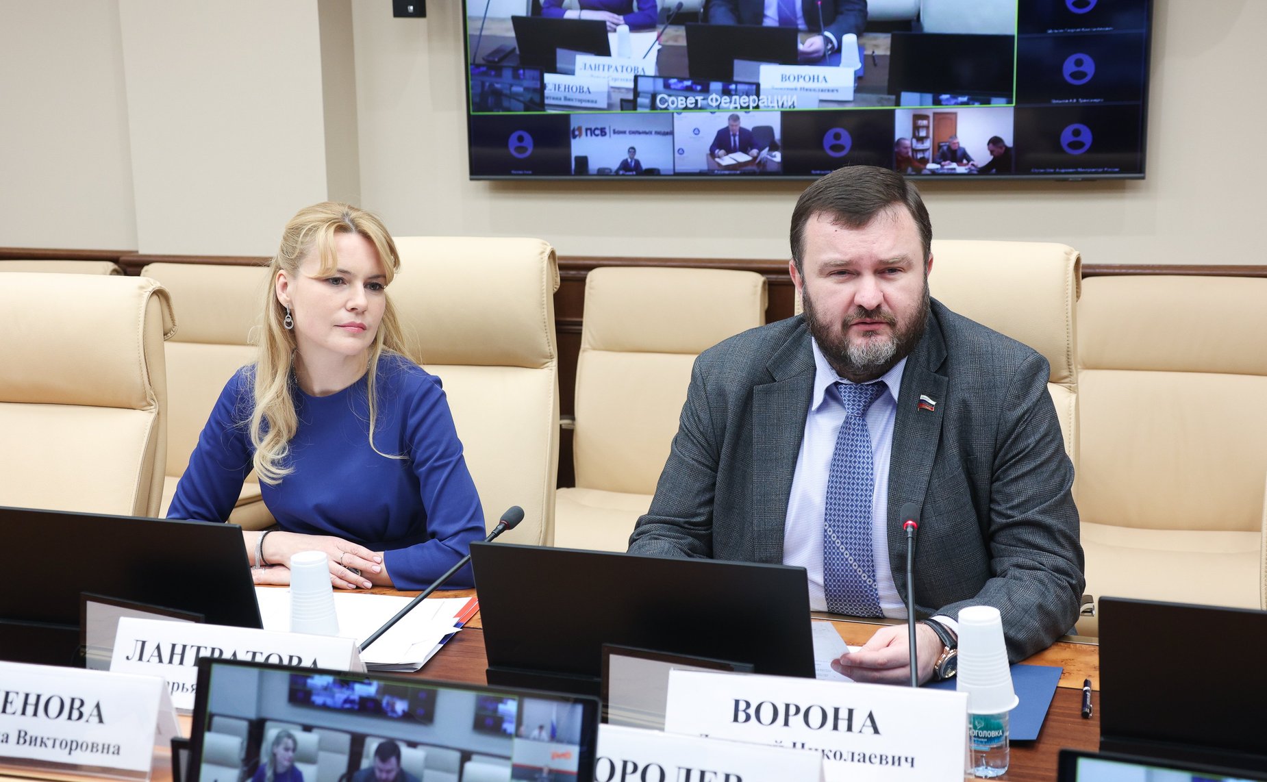 Совещание Комитета СФ по экономической политике «Вопросы восстановления и развития топливно-энергетического комплекса на территориях ДНР, ЛНР, Запорожской области и Херсонской области»