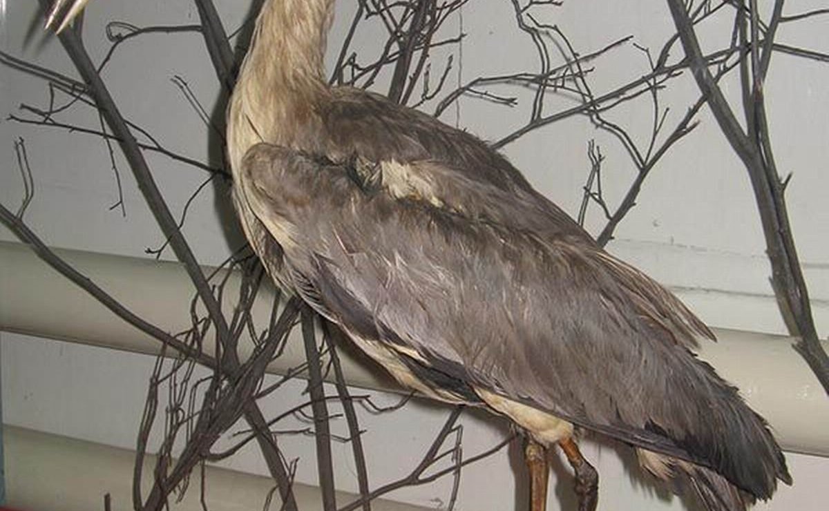 Сергей Мартынов посетил Сернурский музейно-выставочный комплекс