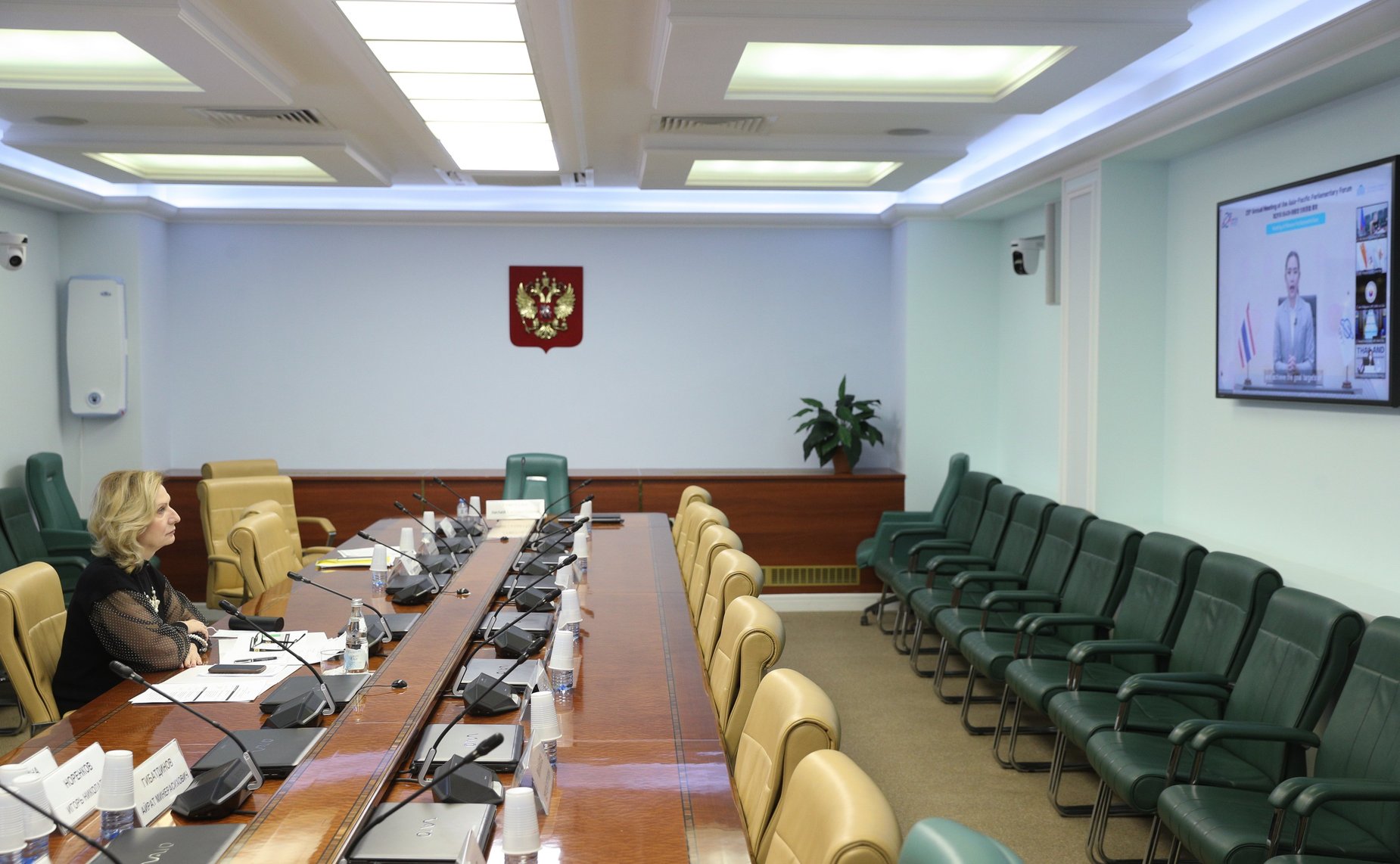 Выступление председателя Комитета СФ по социальной политике Инны Святенко на Встрече женщин-парламентариев (АТПФ)