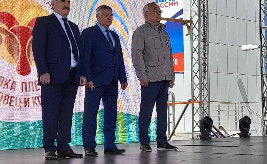 Сергей Михайлов: Важно увеличить поддержку производства шерсти