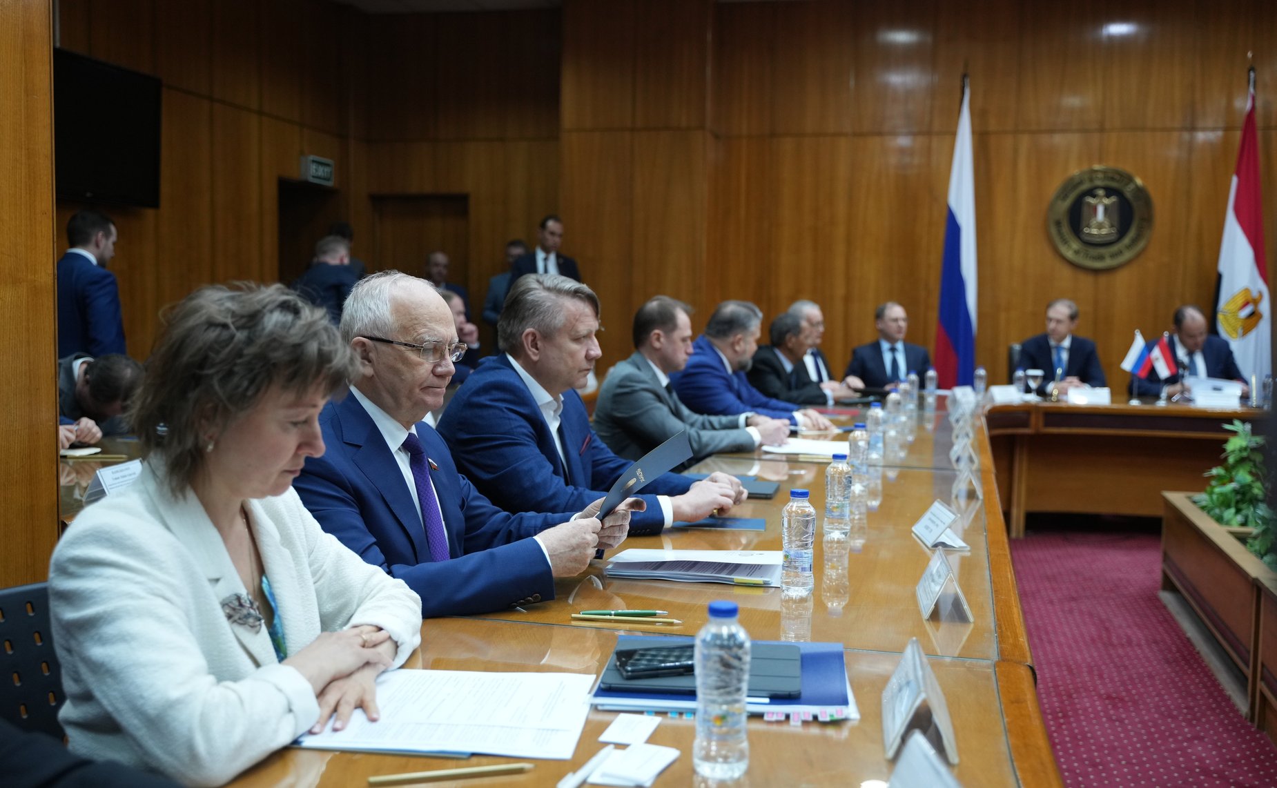 Заместитель председателя Комитета СФ по международным делам Фарит Мухаметшин принял участие в 14-м заседании Межправительственной Российско-Египетской комиссии по торговому, экономическому и научно-техническому сотрудничеству в г. Каире