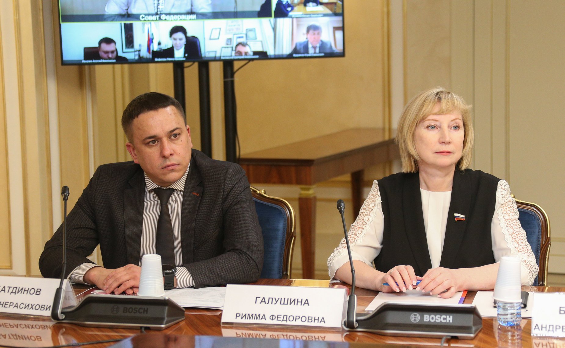 Расширенное заседание Комитета СФ по науке, образованию и культуре