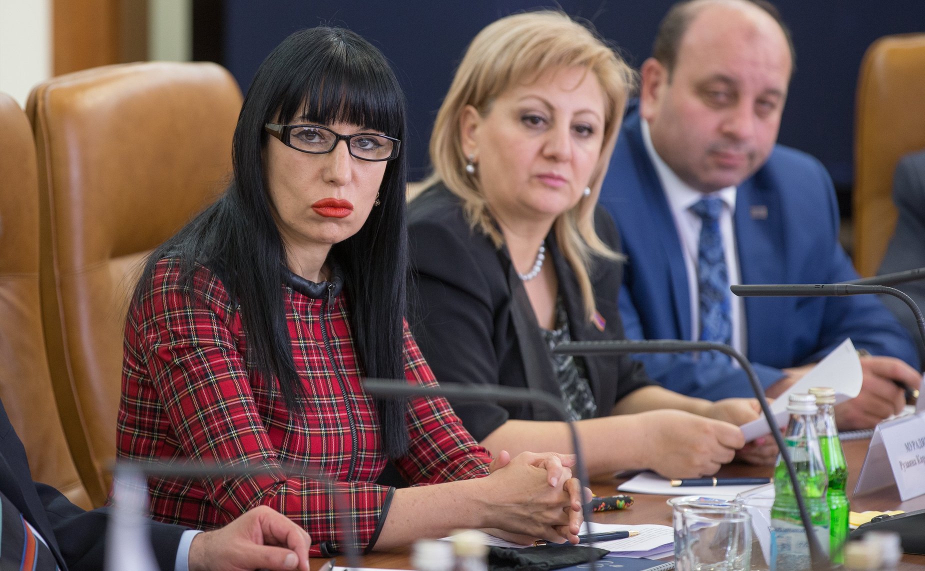 Встреча Первого заместителя Председателя СФ Н. Федорова с заместителем Председателя Национального собрания Армении Э. Нагдалян