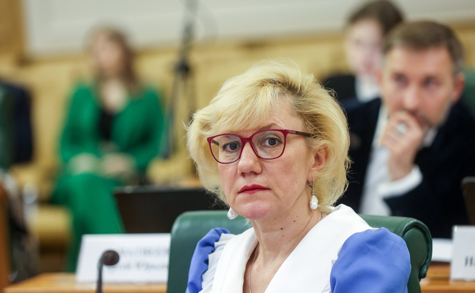 Круглый стол Комитета Совета Федерации по науке, образованию и культуре «Интеллектуальная собственность в материальном выражении: мода, промышленный дизайн, архитектура»