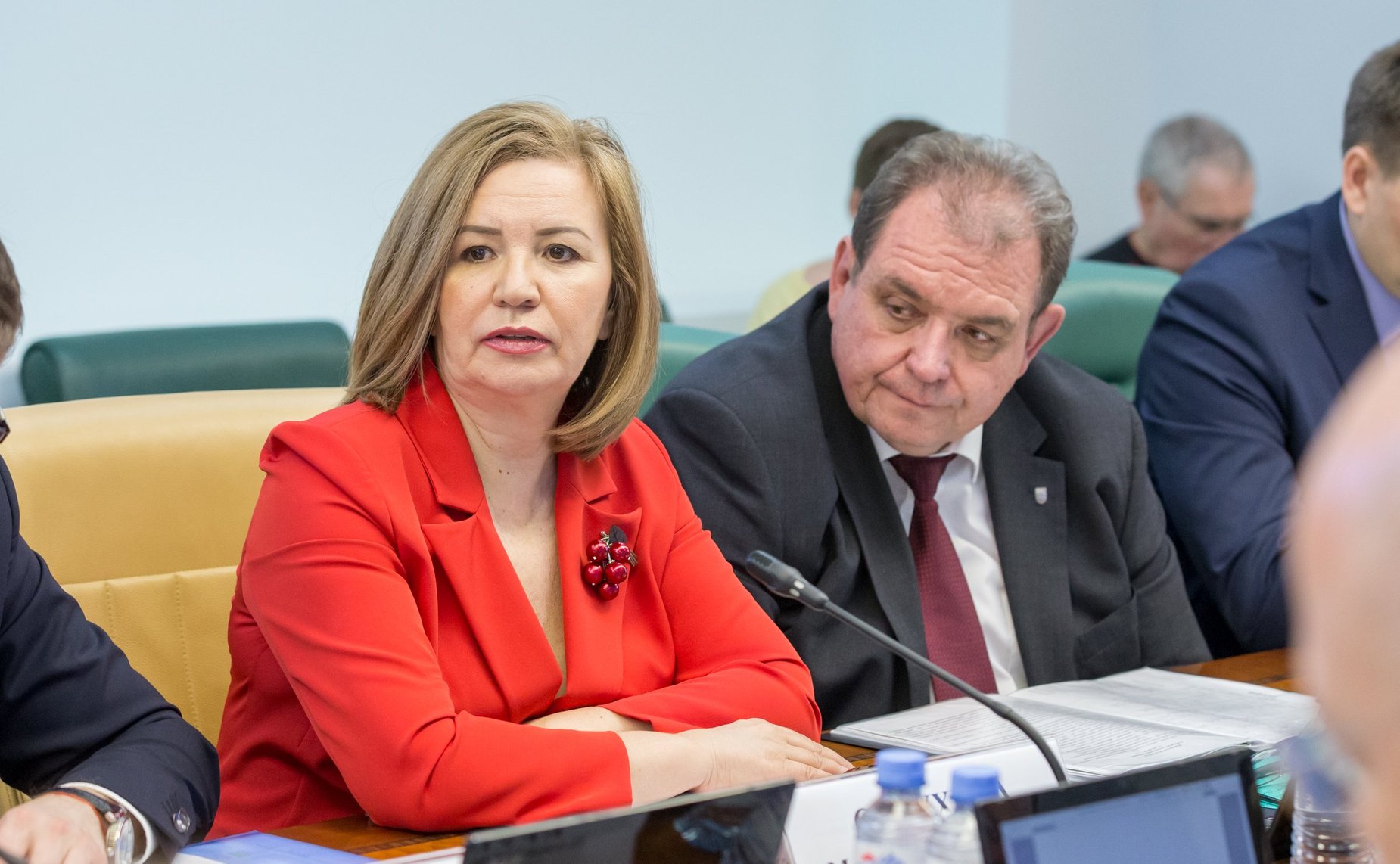 Расширенное заседание Комитета СФ по социальной политике