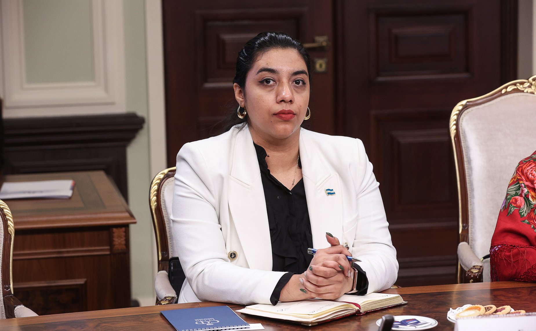 Встреча руководителя группы по сотрудничеству СФ с Национальной ассамблеей Республики Никарагуа Владимира Полетаева с Чрезвычайным и Полномочным Послом Республики Никарагуа в РФ