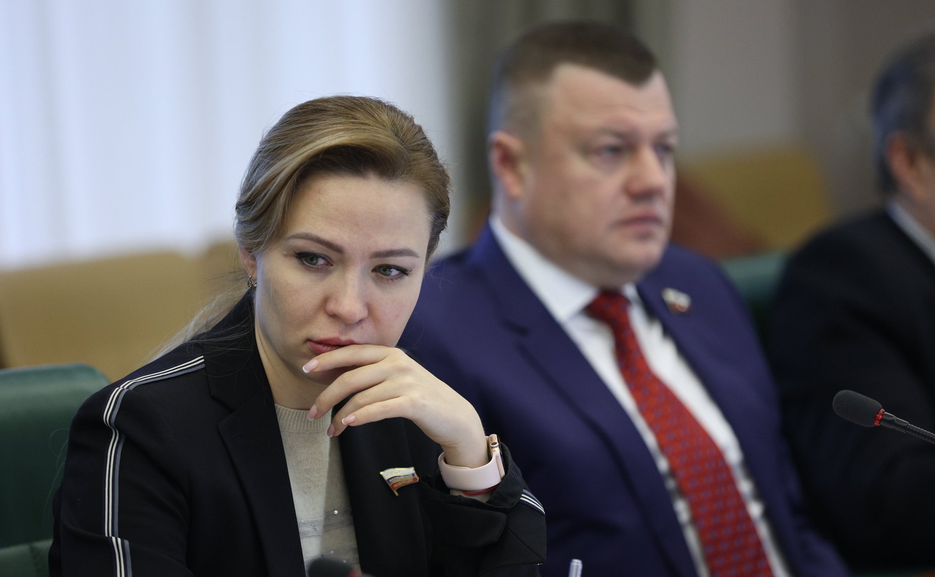 Заседание Комитета СФ по международным делам