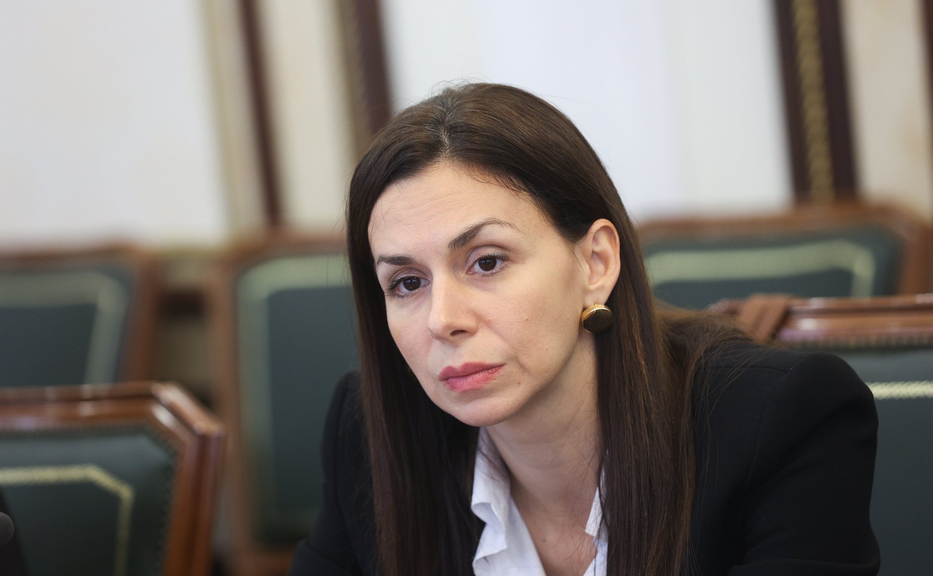 Встреча сенаторов с делегацией Народной скупщины Республики Сербии, членами фракции партии «Единая Сербия» и группы по сотрудничеству Народной скупщиной Республики Сербии с Советом Федерации
