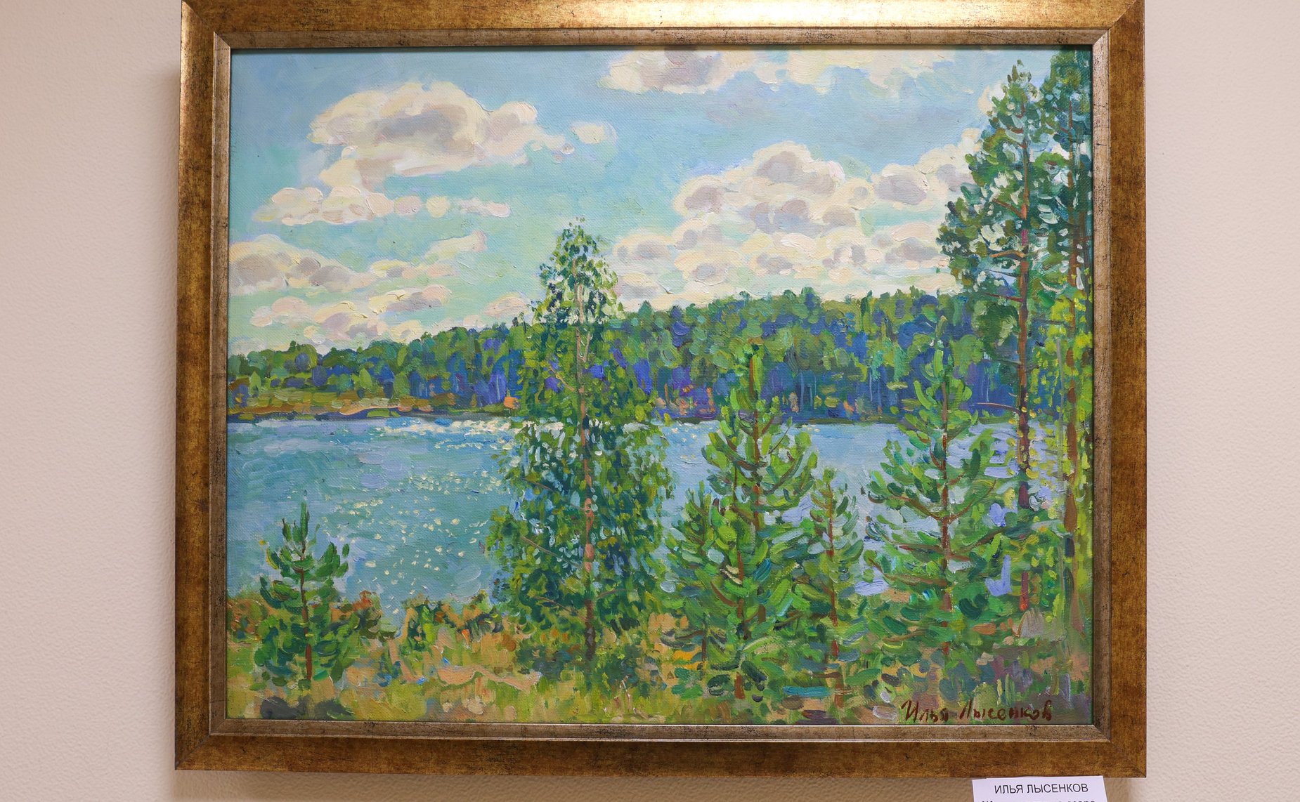 Торжественное открытие в Совете Федерации персональной выставки художника-живописца И. Лысенкова «Матушка Рязань»