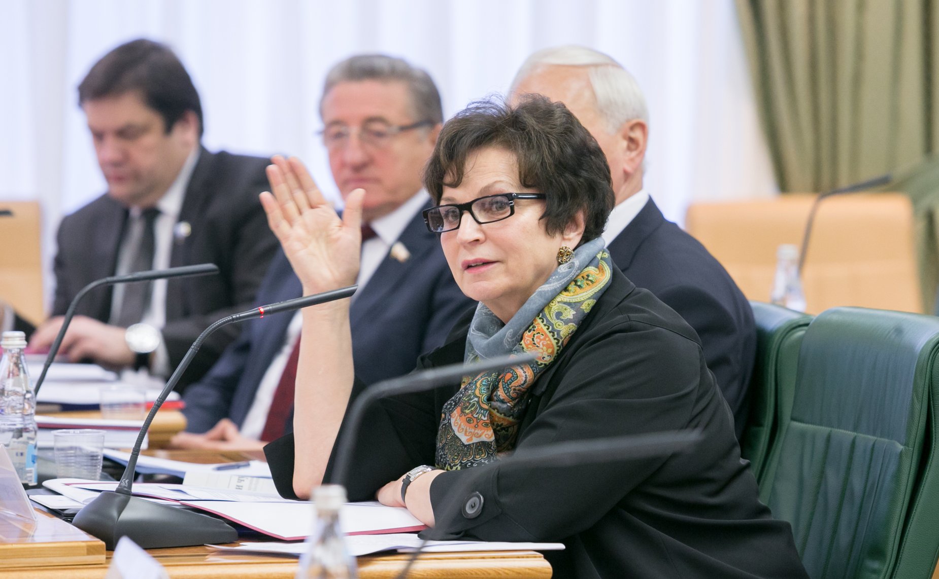 Е. Лахова Расширенное заседание Комитета СФ по федеративному устройству, региональной политике, местному самоуправлению и делам Севера