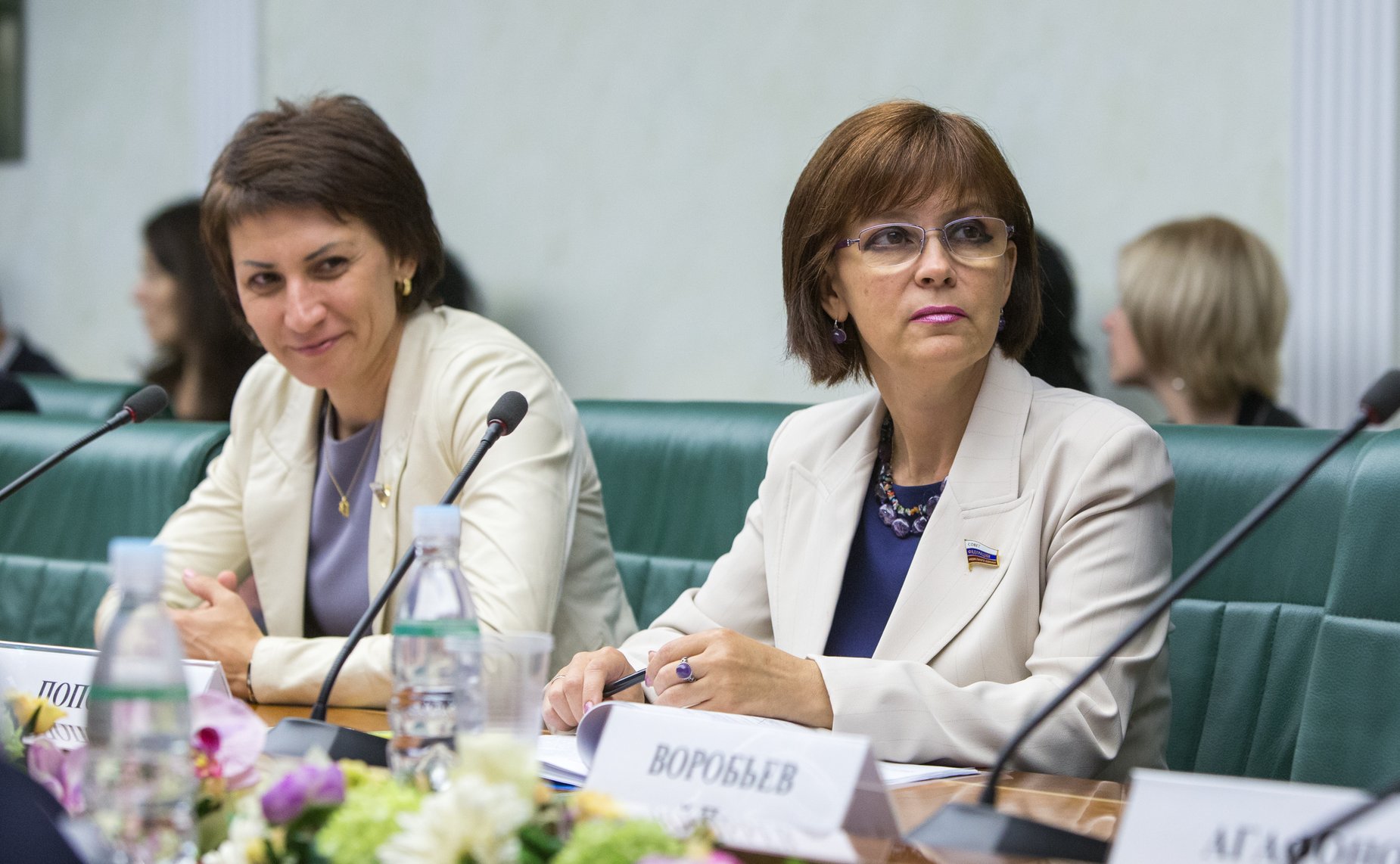 Заседание экспертного совета по туризму. Попова