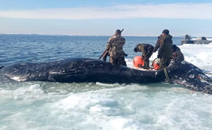 По инициативе сенаторов в Чукотском автономном округе расширены меры социальной поддержки