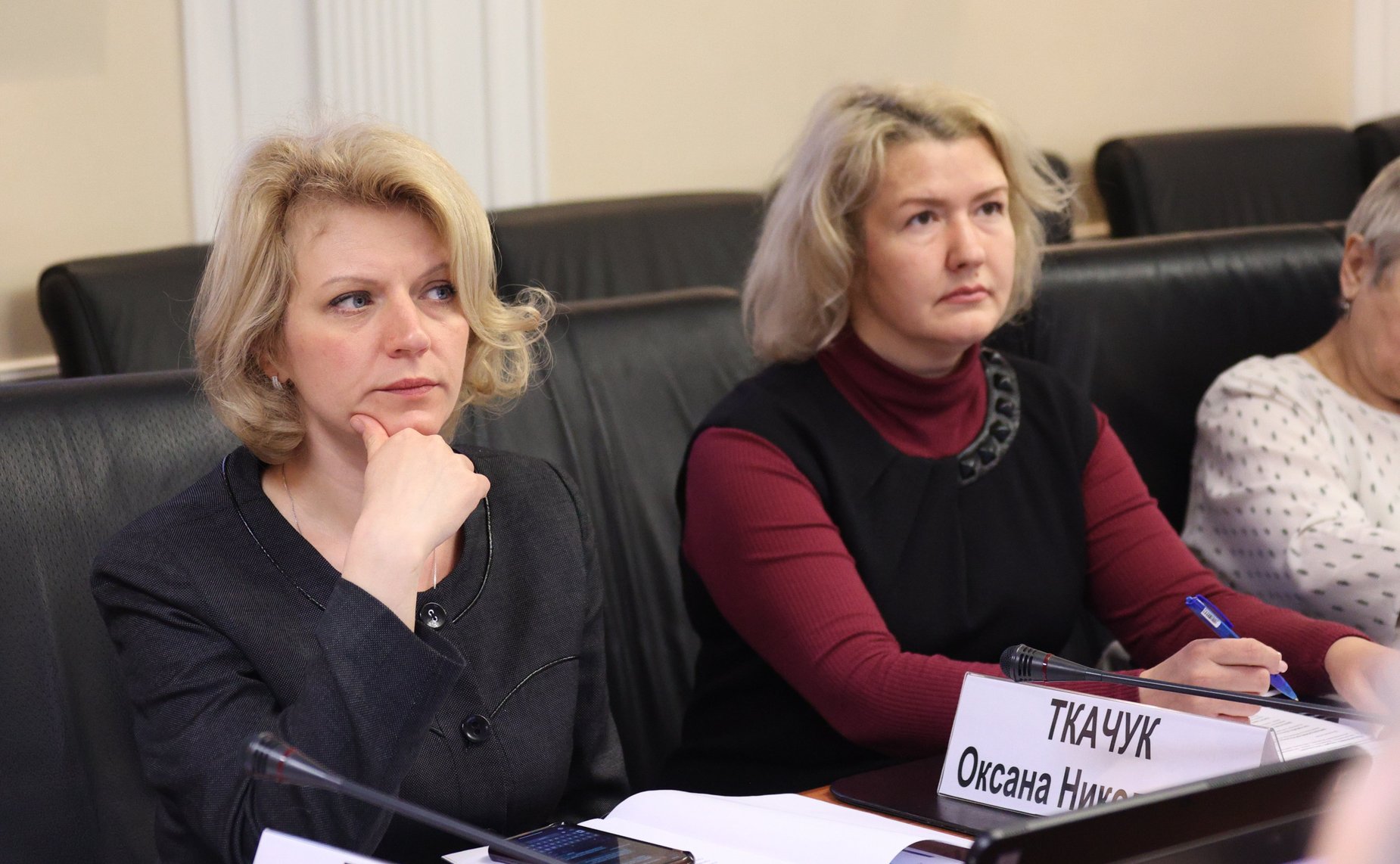 Круглый стол Комитета СФ по федеративному устройству, региональной политике, МСУ и делам Севера