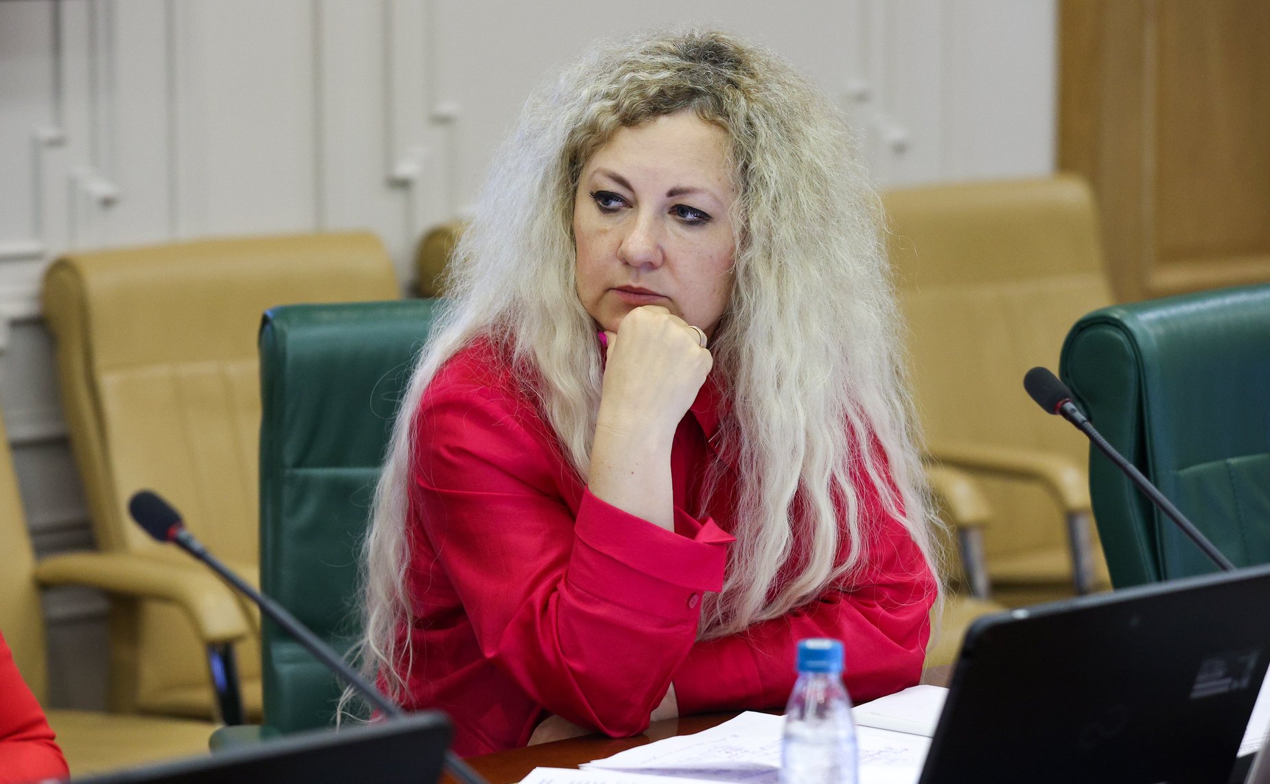 Совещание Комитета Совета Федерации по экономической политике «Поддержка внутреннего спроса и предложения в промышленности как основа для экономического подъема России»