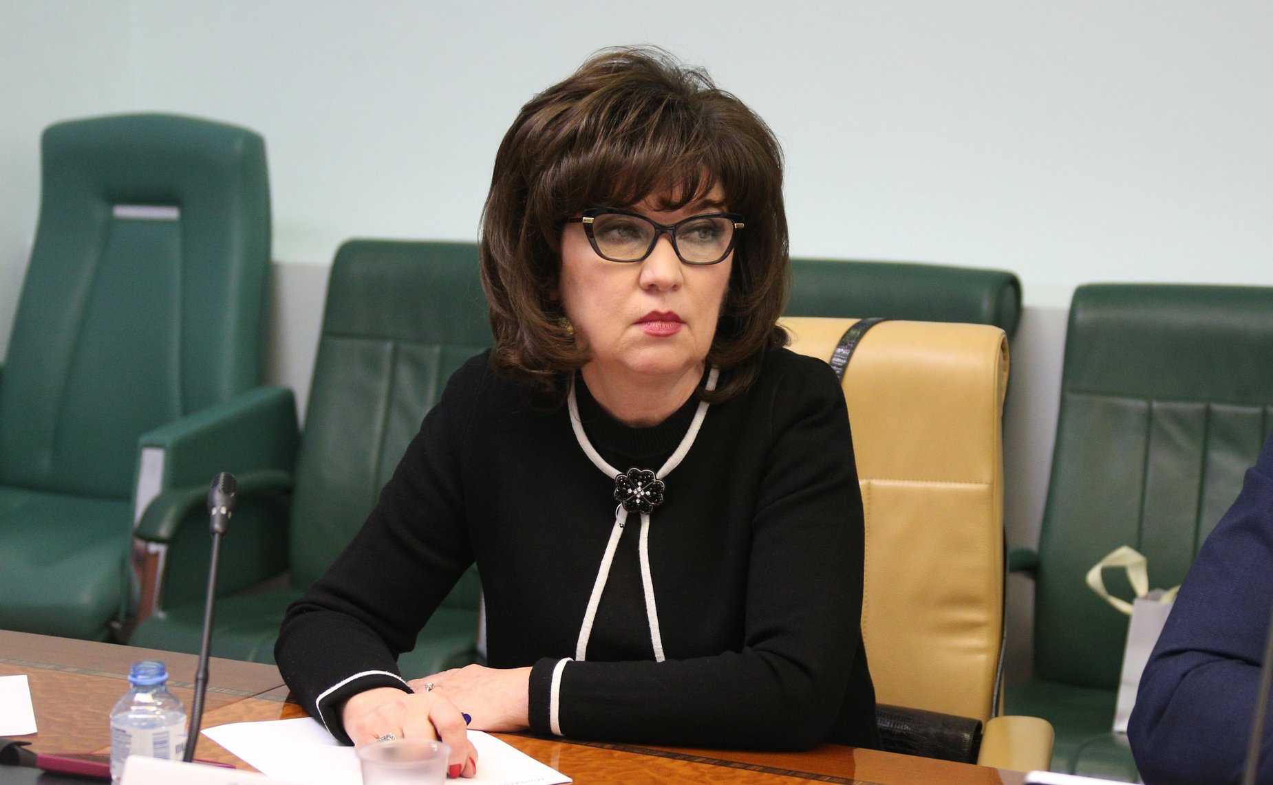 Заседание рабочей группы по осуществлению мониторинга реализации плана мероприятий («Дорожной карты») по оздоровлению и развитию водохозяйственного комплекса реки Дон