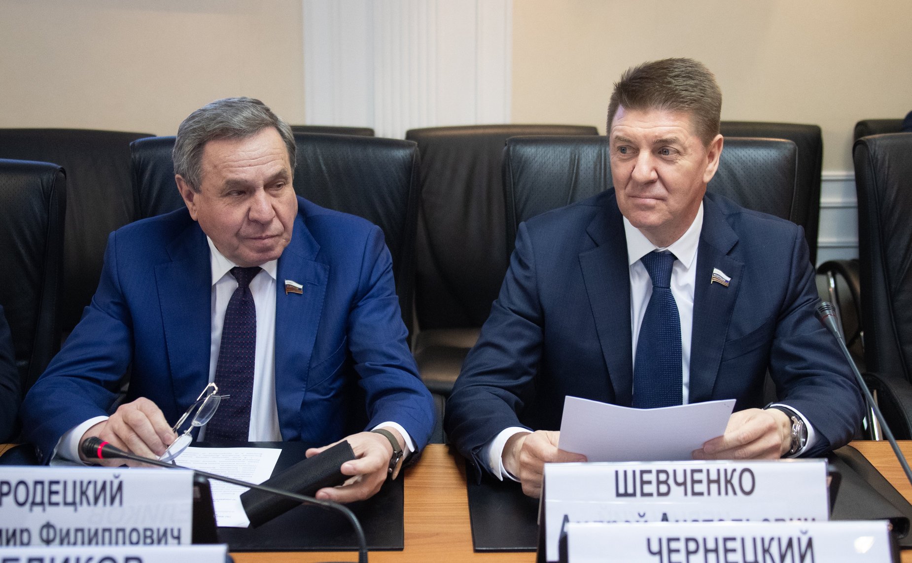 Владимир Городецкий и Андрей Шевченко