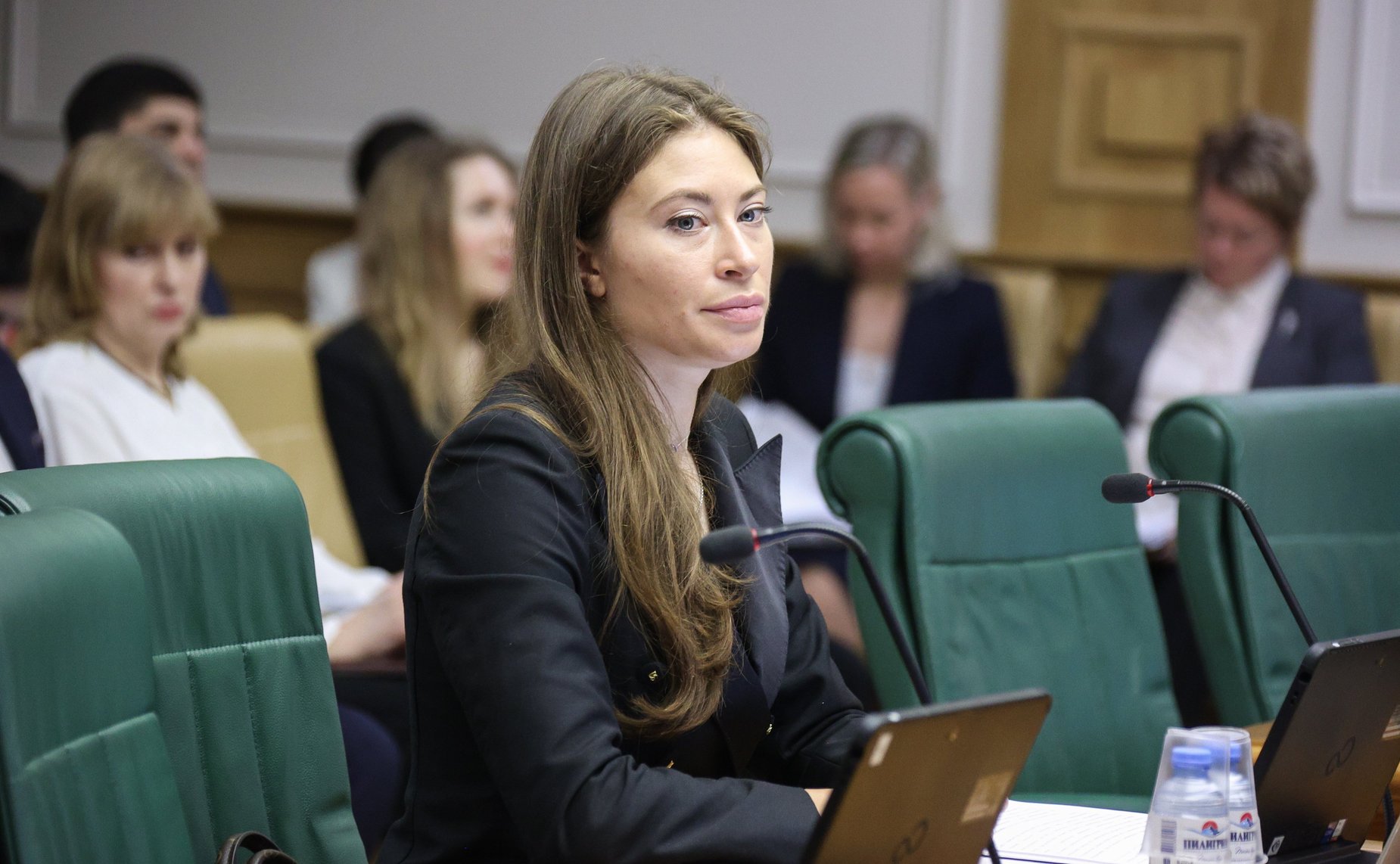 Заседание Комитета Совета Федерации по конституционному законодательству и государственному строительству