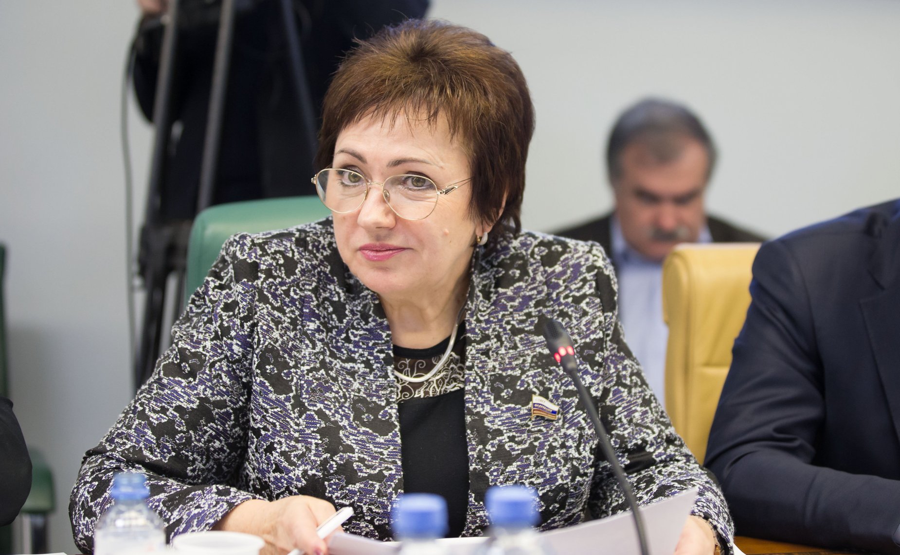 Елена Бибикова