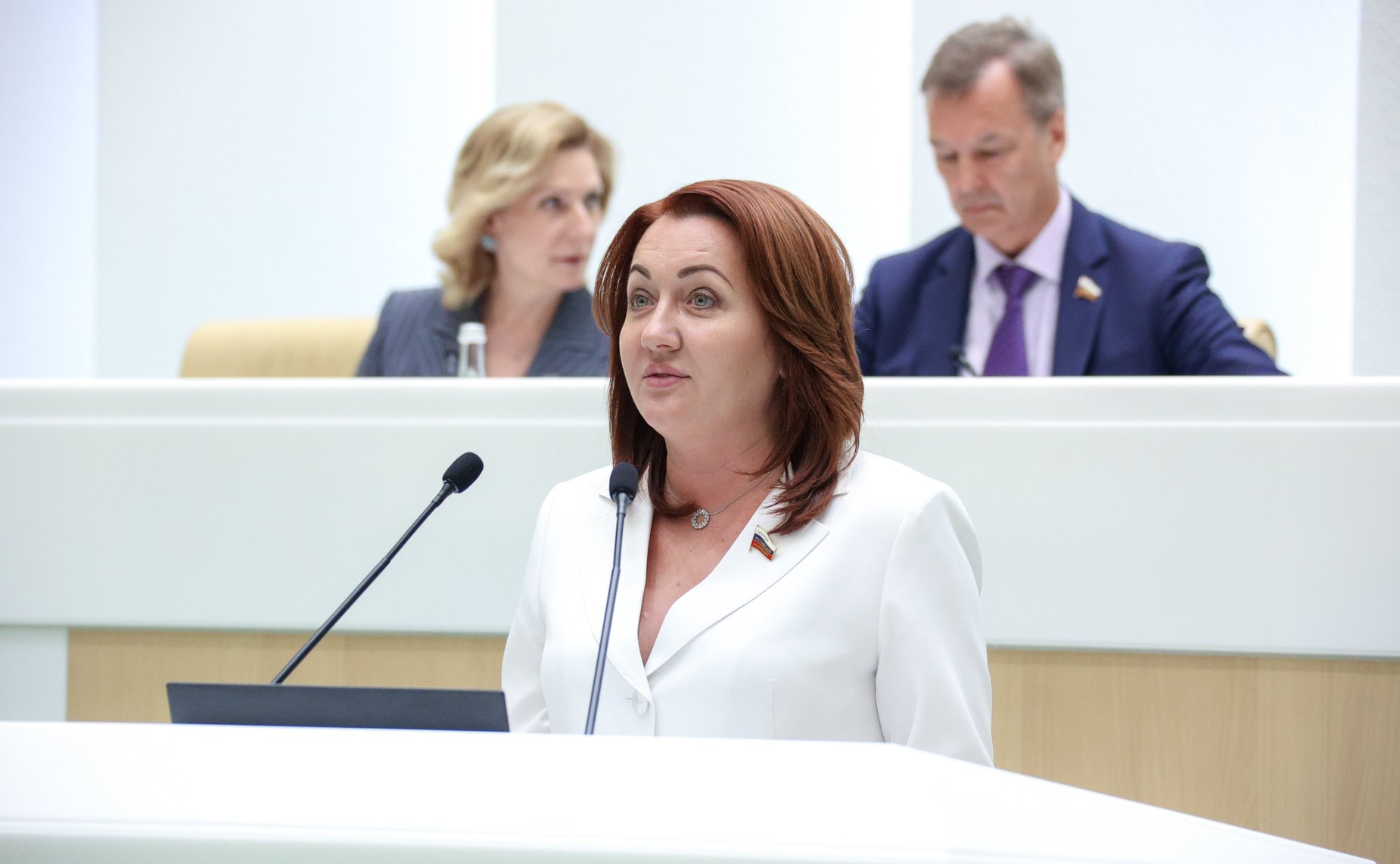 594-е заседание Совета Федерации