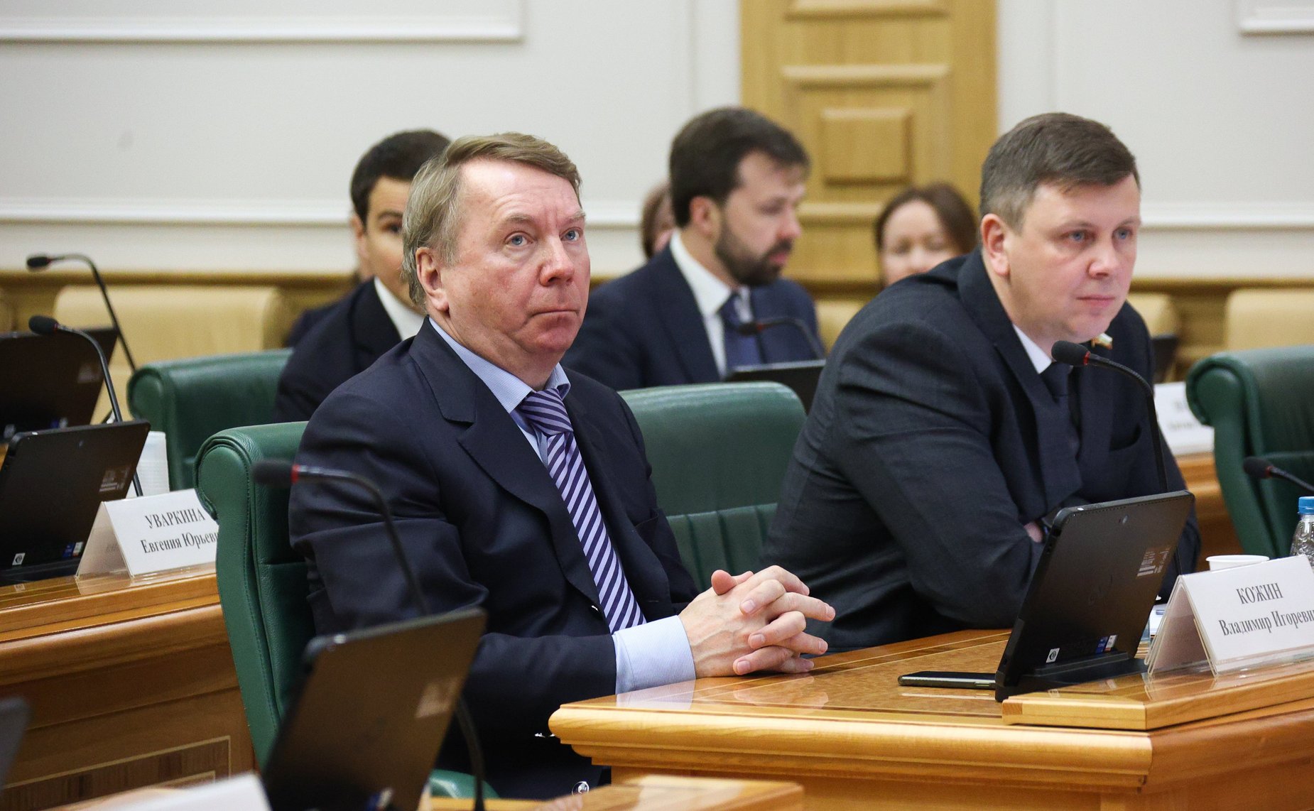 Владимир Кожин