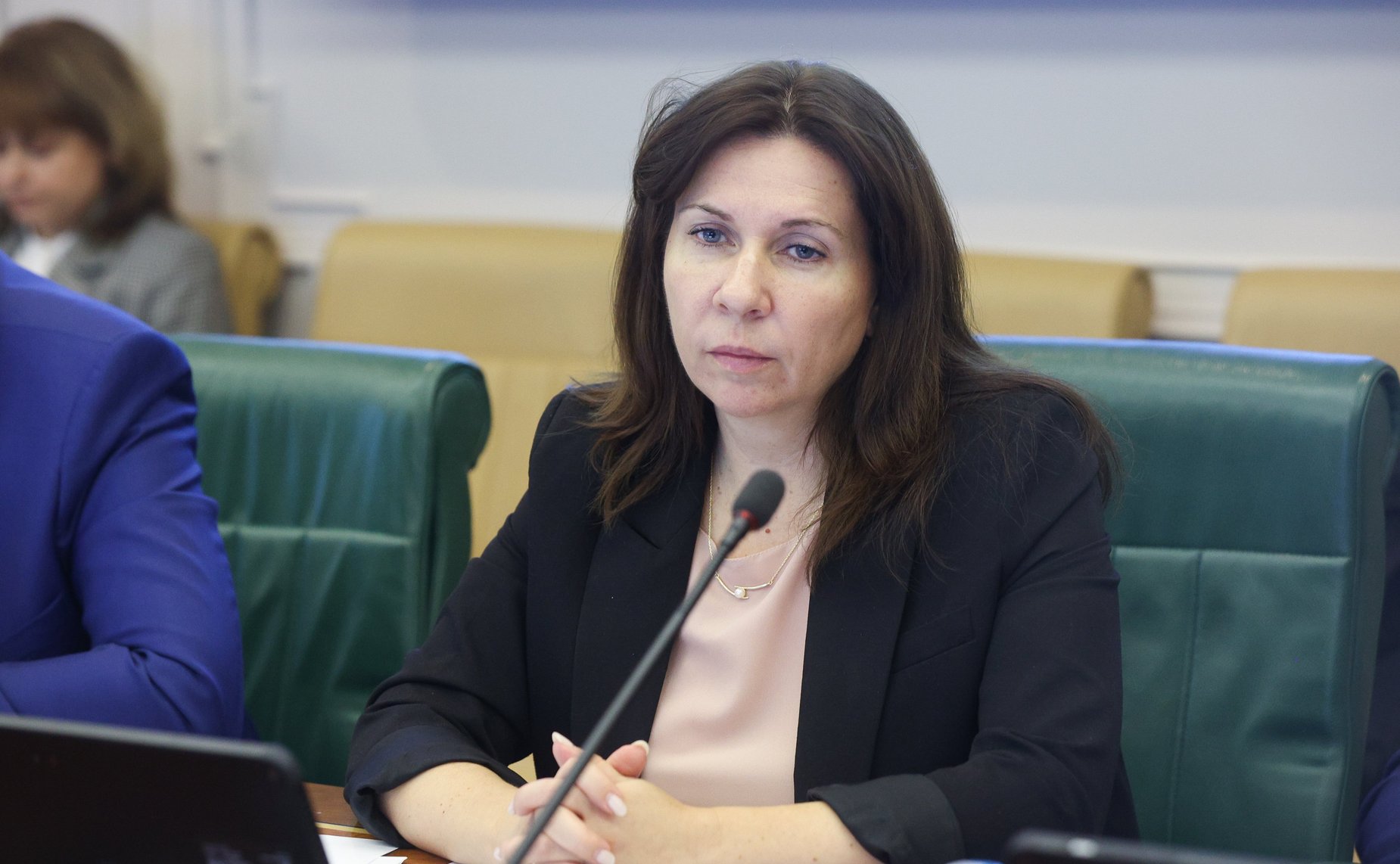 Круглый стол Комитета СФ по экономической политике совместно с Комитетом СФ по науке, образованию и культуре «Вопросы государственной поддержки развития технологического предпринимательства в субъектах Российской Федерации»