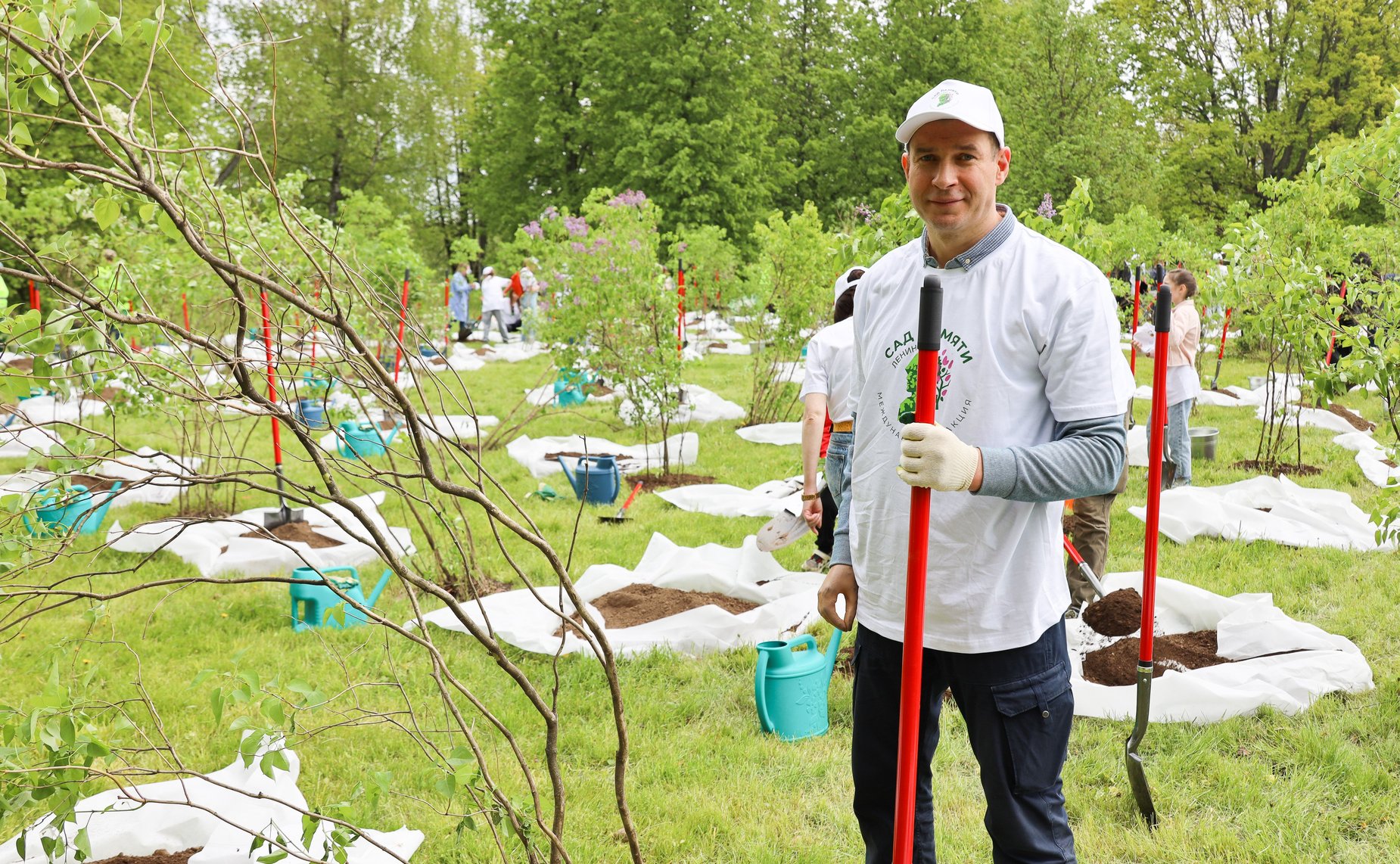 В Год защитника Отечества и 80-летия Победы в Великой Отечественной войне 1941–1945 годов сенаторы РФ и сотрудники Аппарата СФ провели акцию «Сад Памяти» — высадили 250 кустов сирени в музее-заповеднике «Горки Ленинские»
