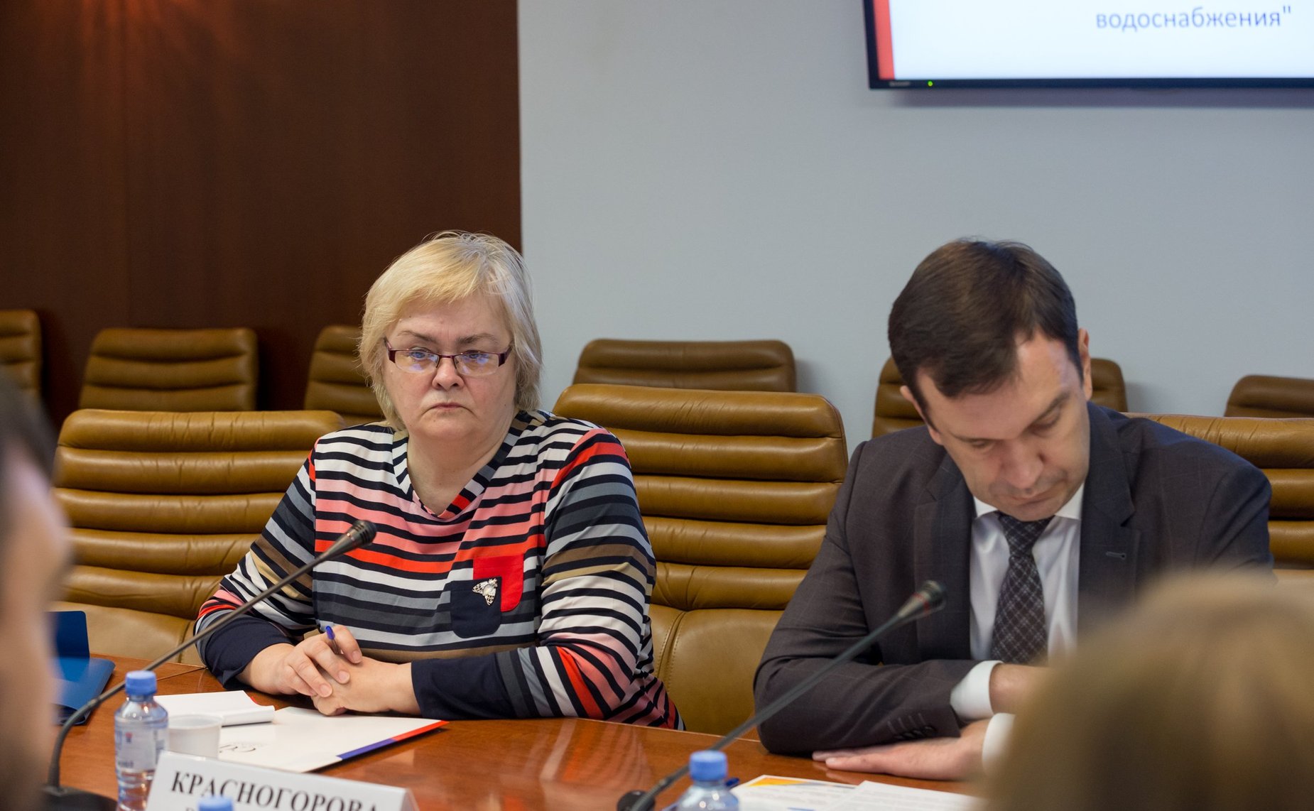 Совещание Комитета СФ по экономической политике