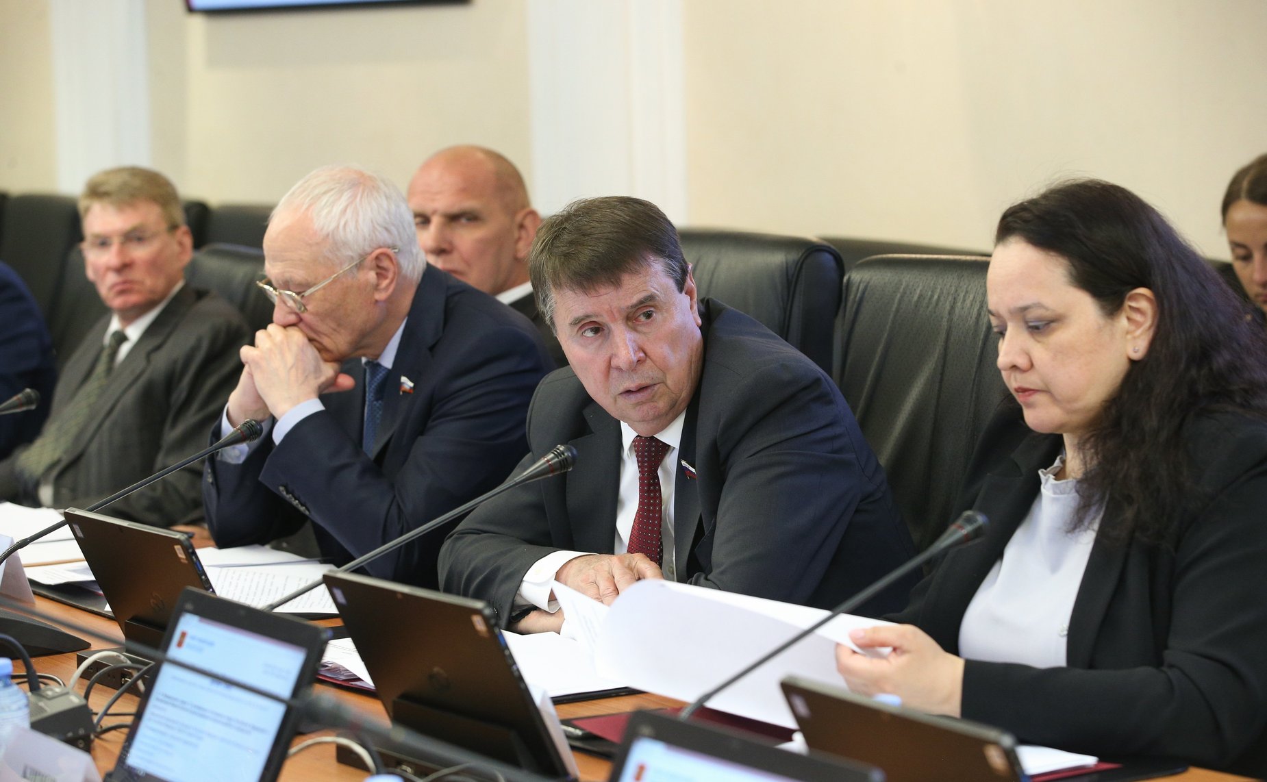 Заседание Комитета СФ по международным делам