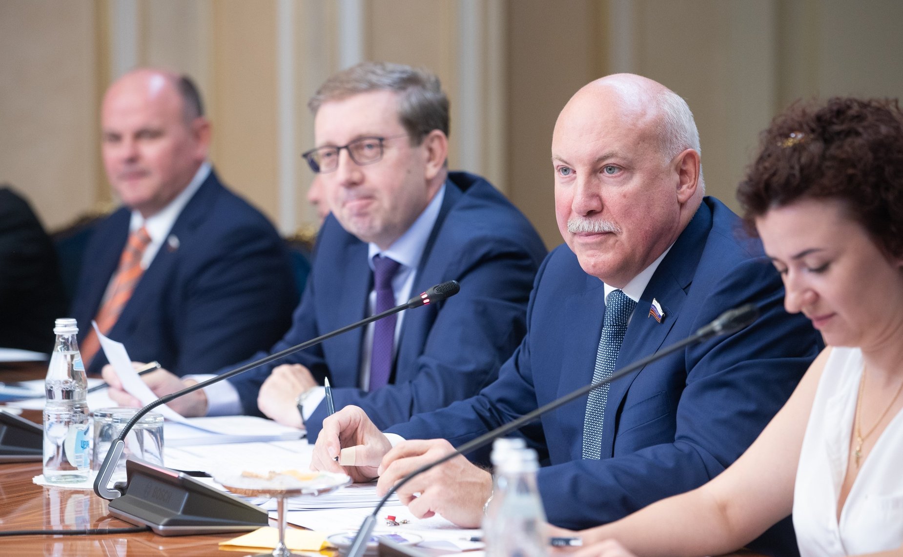 Встреча Дмитрия Мезенцева с председателем Комиссии по вопросам экономики Сената Французской Республики Софи Прима