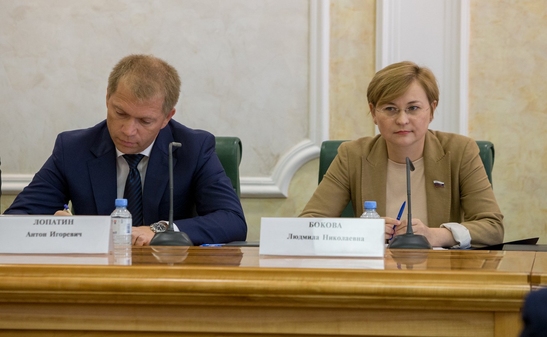 Расширенное заседание рабочей группы Временной комиссии по защите государственного суверенитета и предотвращению вмешательства во внутренние дела РФ