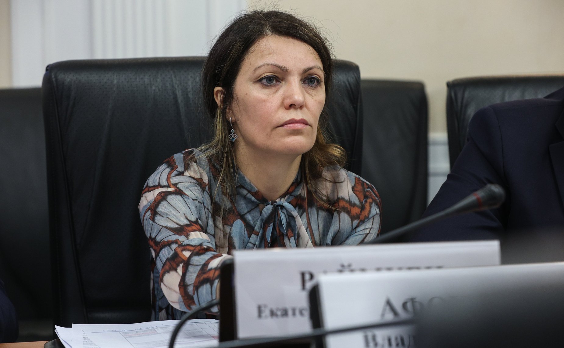 Совещание Комитета Совета Федерации по экономической политике на тему «Восстановление экономического потенциала, в том числе портовой инфраструктуры, Азовского моря как внутреннего моря РФ»