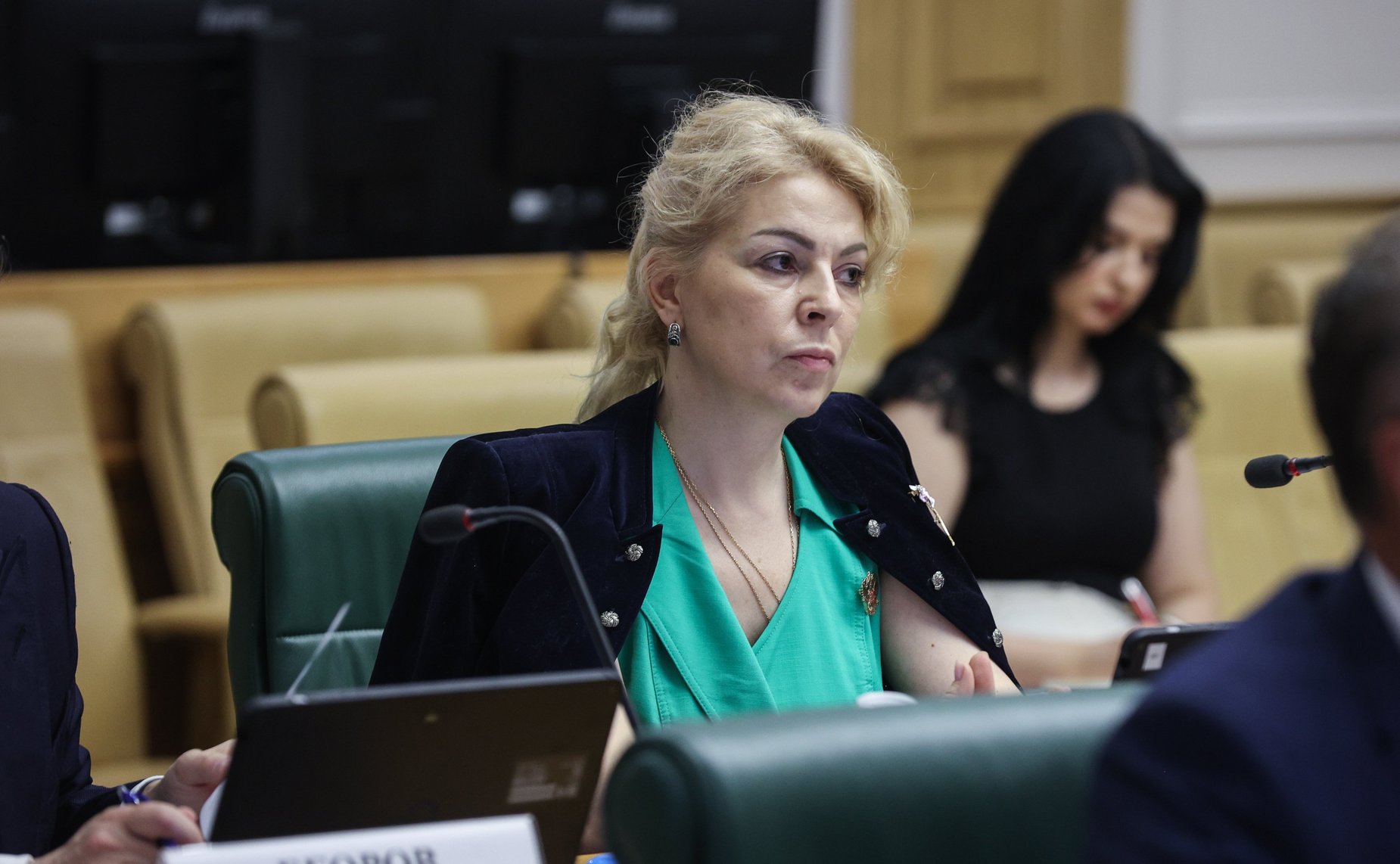 Круглый стол Комитета Совета Федерации по конституционному законодательству и государственному строительству на тему «Административная ответственность за нарушения в сфере миграции»