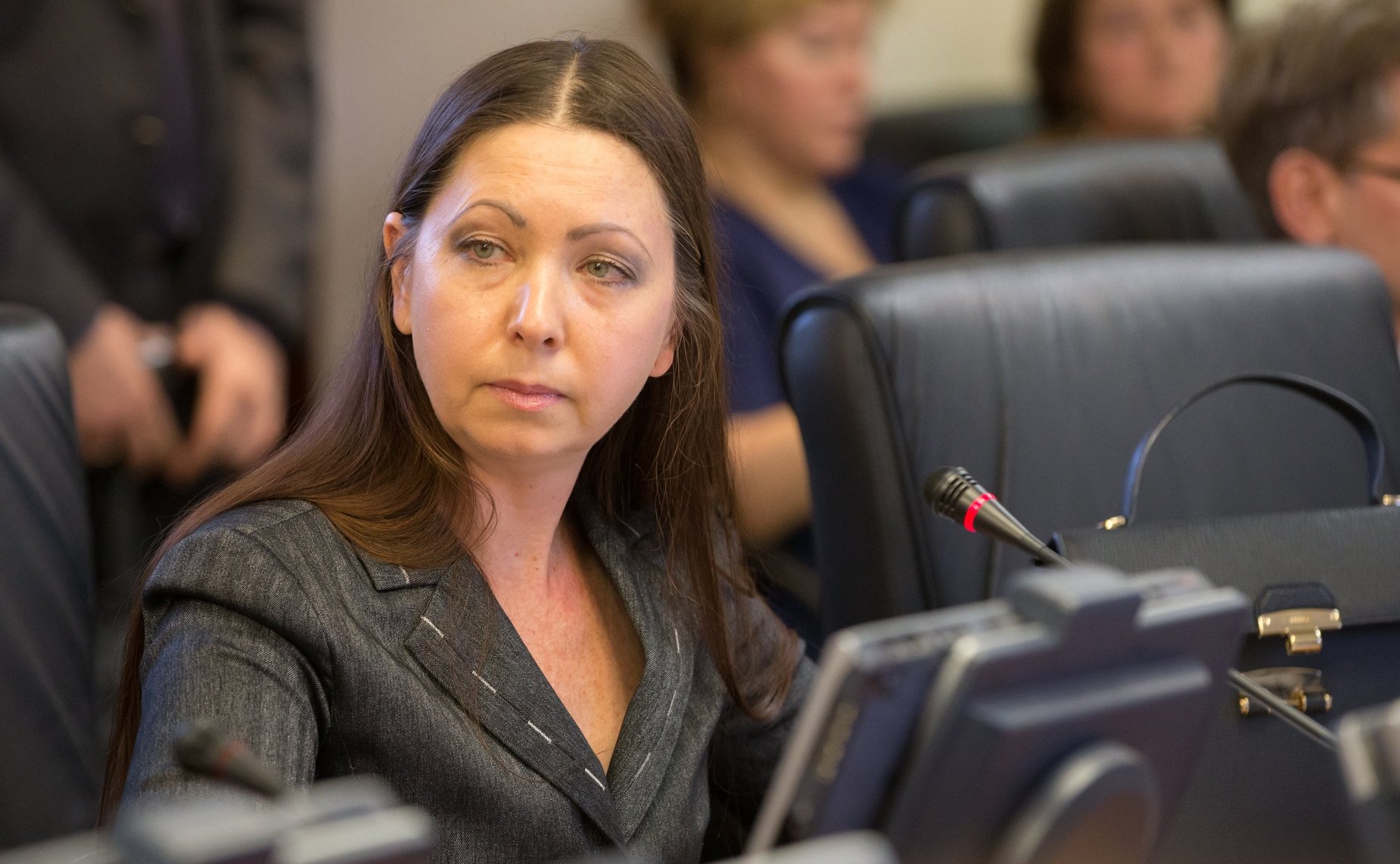 Заседание Комитета СФ по международным делам