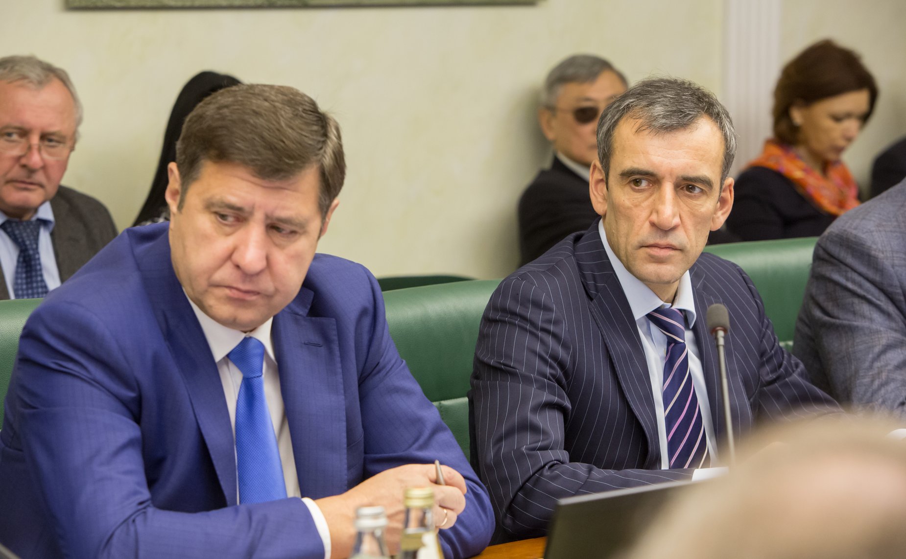 А. Голушко и Н. Власенко Заседание Комитета СФ по экономической политике