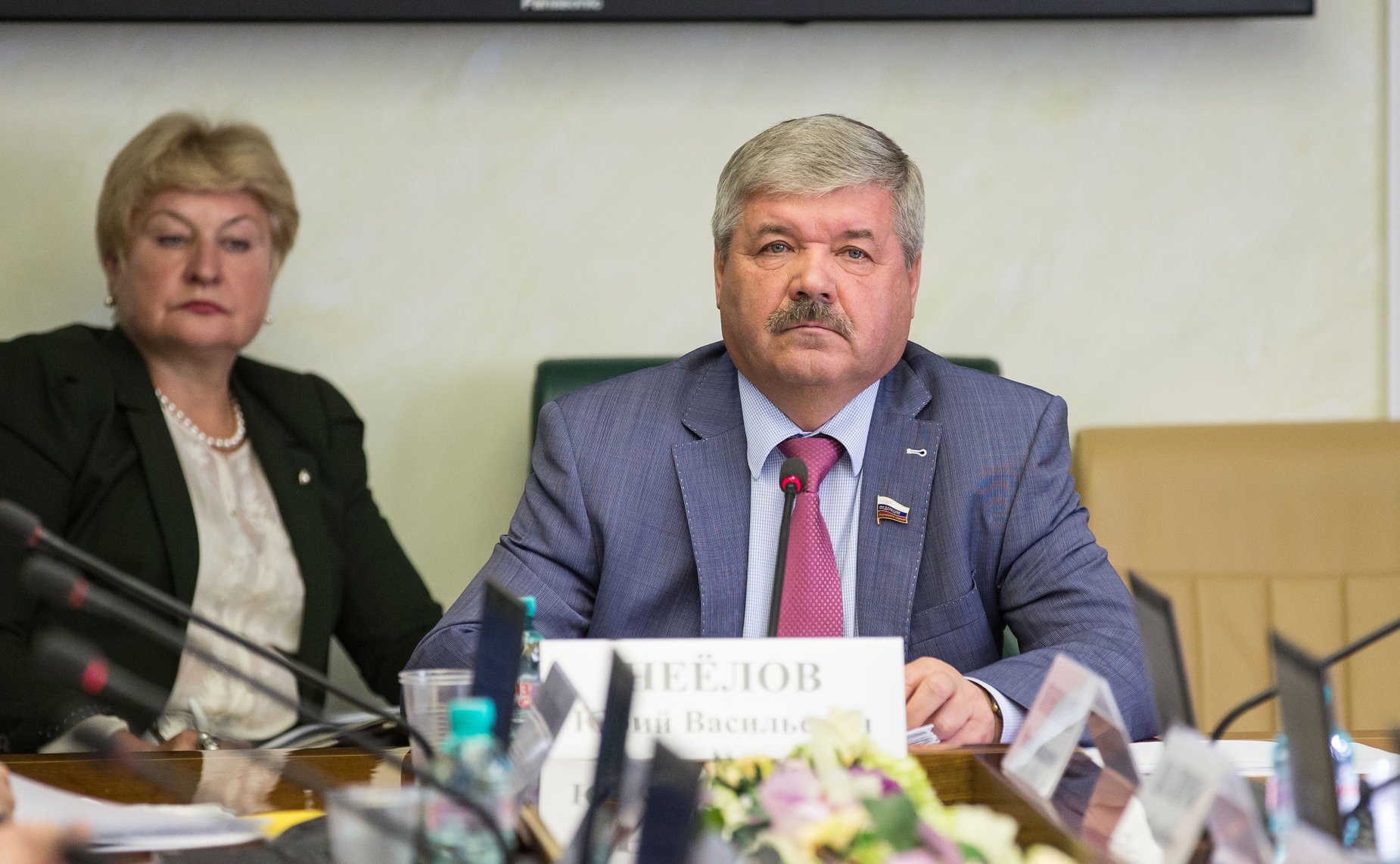 Ю. Неелов Заседание Комитета СФ по экономической политике