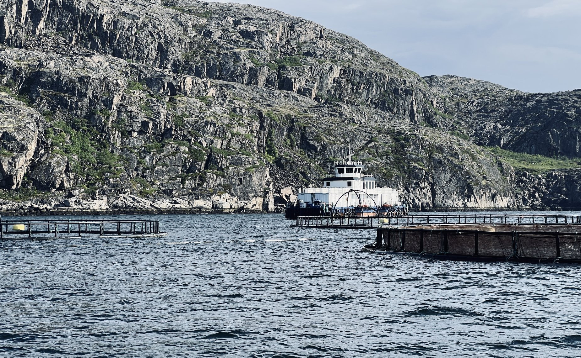 Татьяна Сахарова посетила предприятие по выращиванию атлантического лосося в Мурманской области