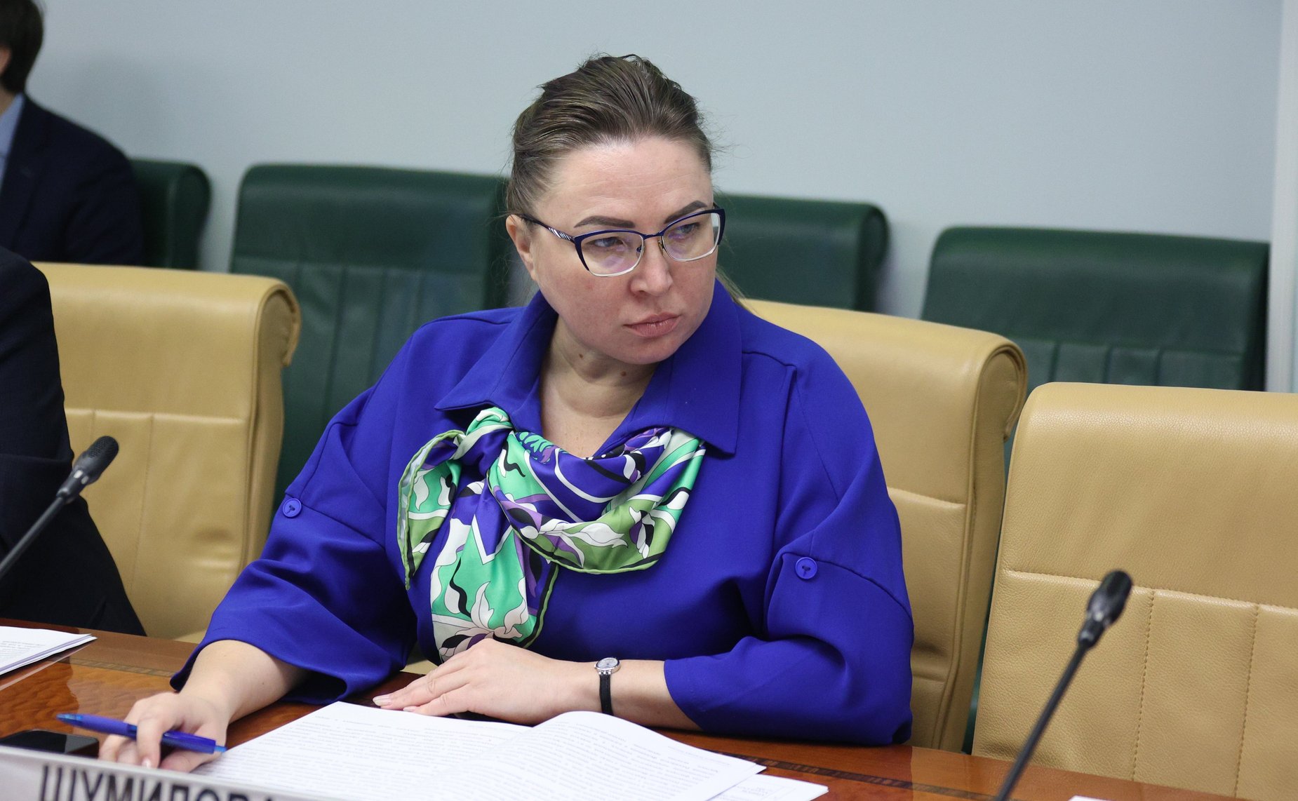 Елена Шумилова