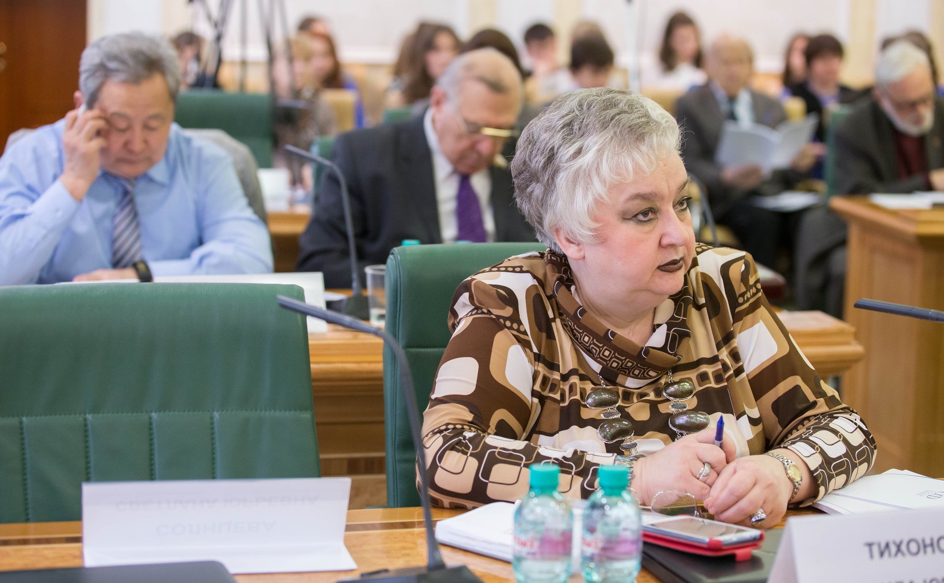 И. Тихонова Парламентские слушания на тему «Государственная культурная политика и вызовы времени»