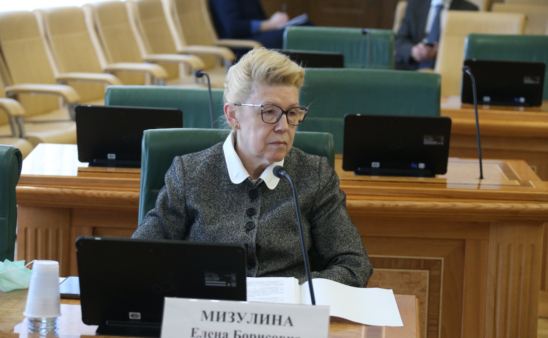 Елена Мизулина