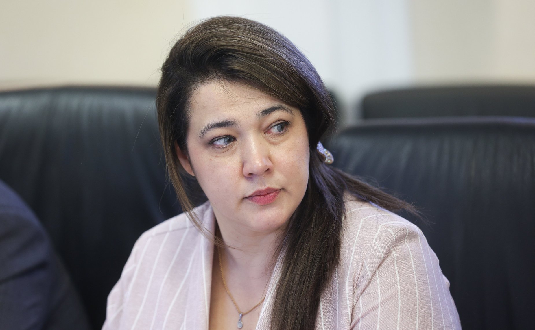 Заседание Комитета Совета Федерации по Регламенту и организации парламентской деятельности