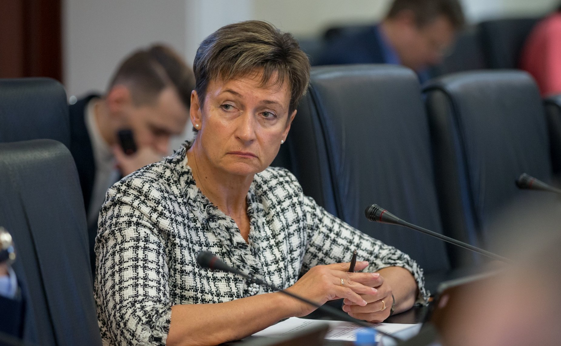 Заседание Комитета СФ по международным делам