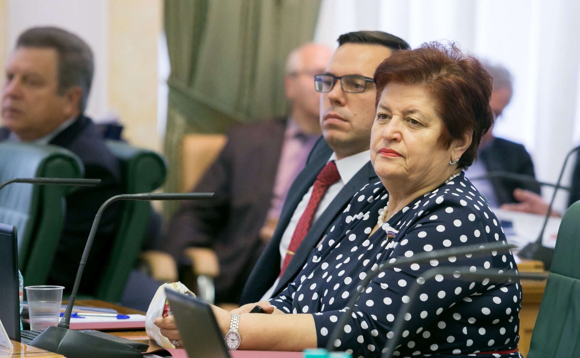 Козлова. Экспертный совет по Арктике