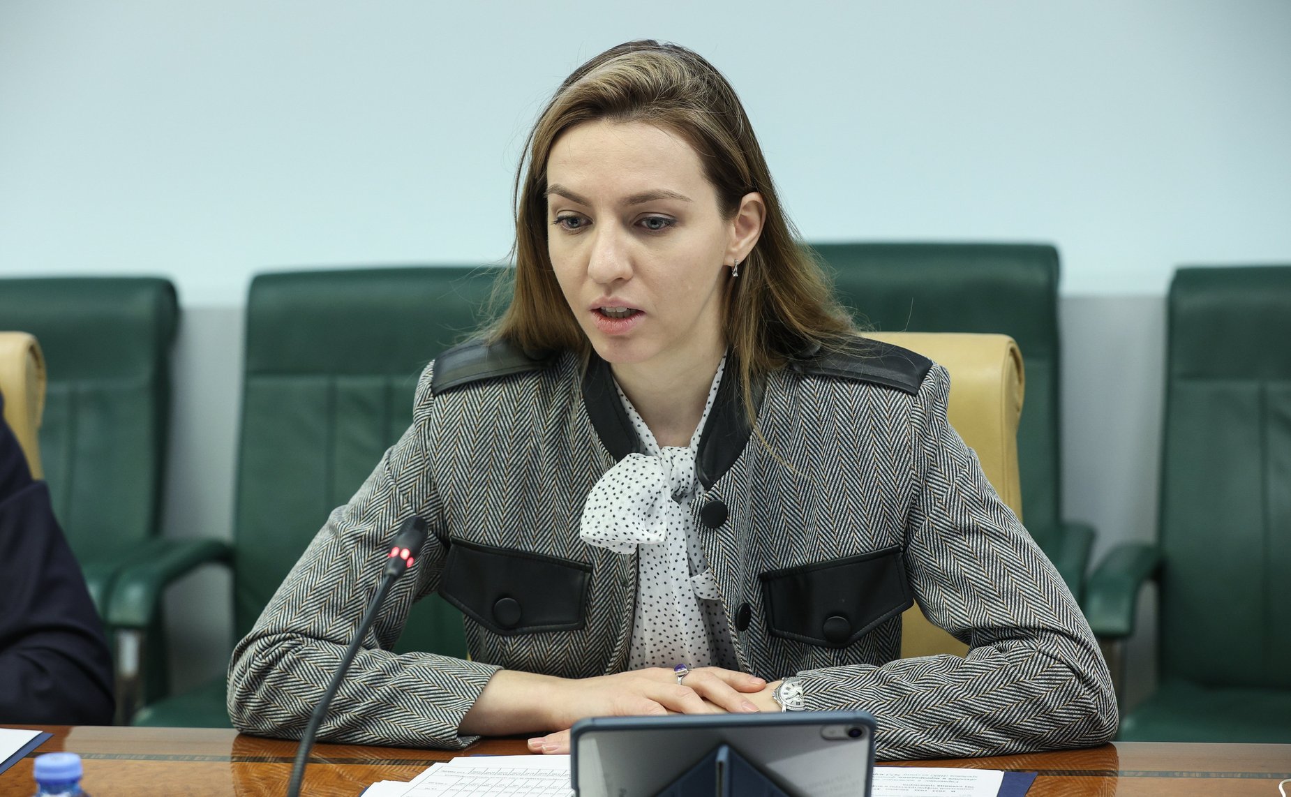 Круглый стол Комитета СФ по экономической политике